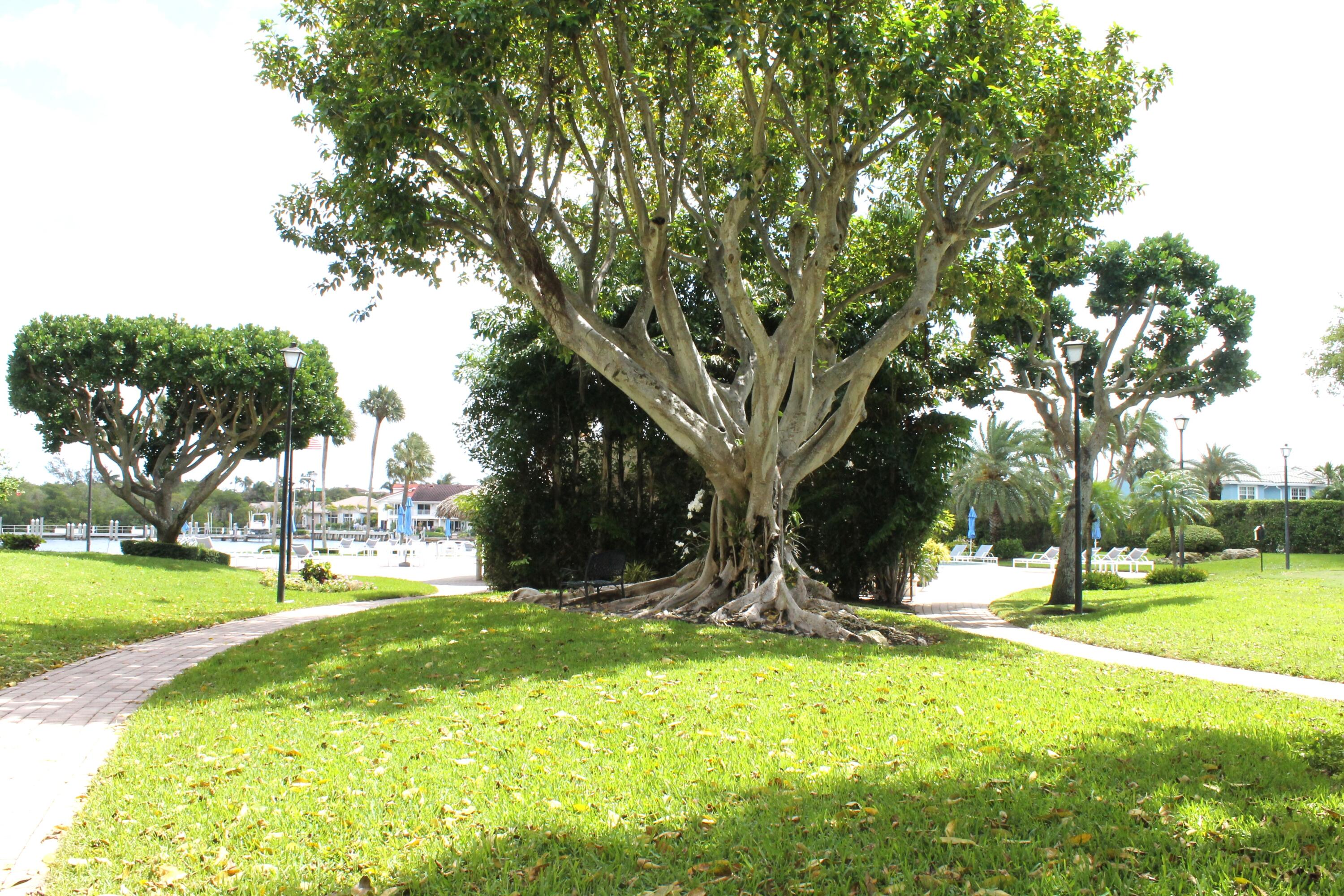 PORTA BELLA EAST - Residential