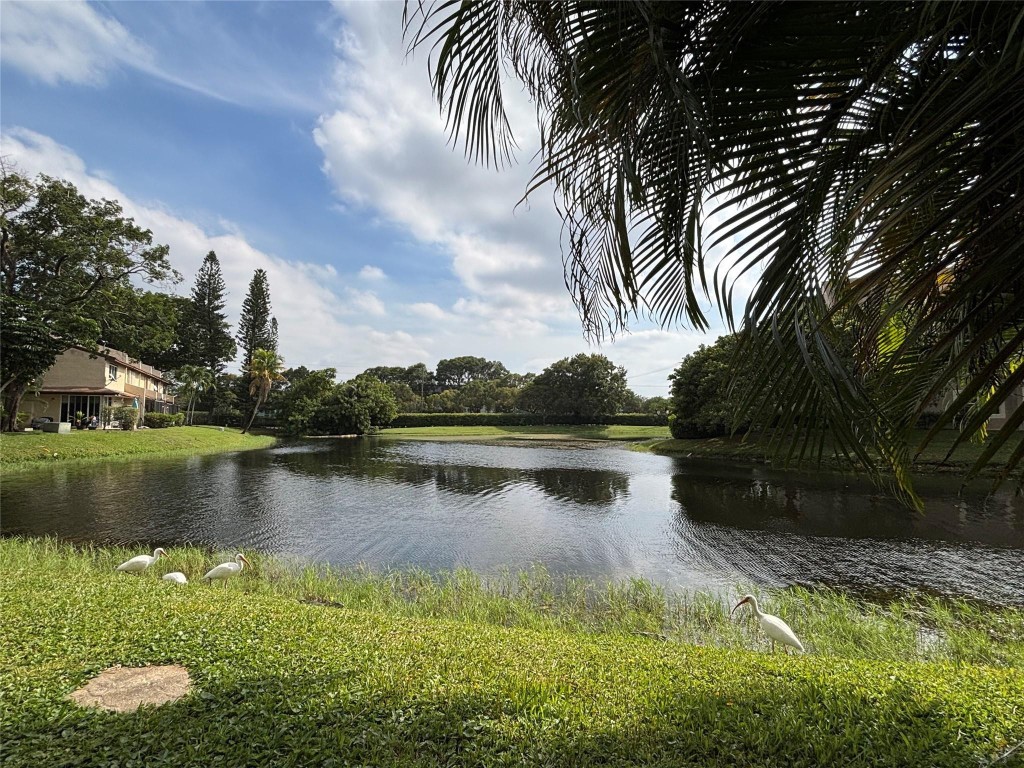 The Hamptons - Residential