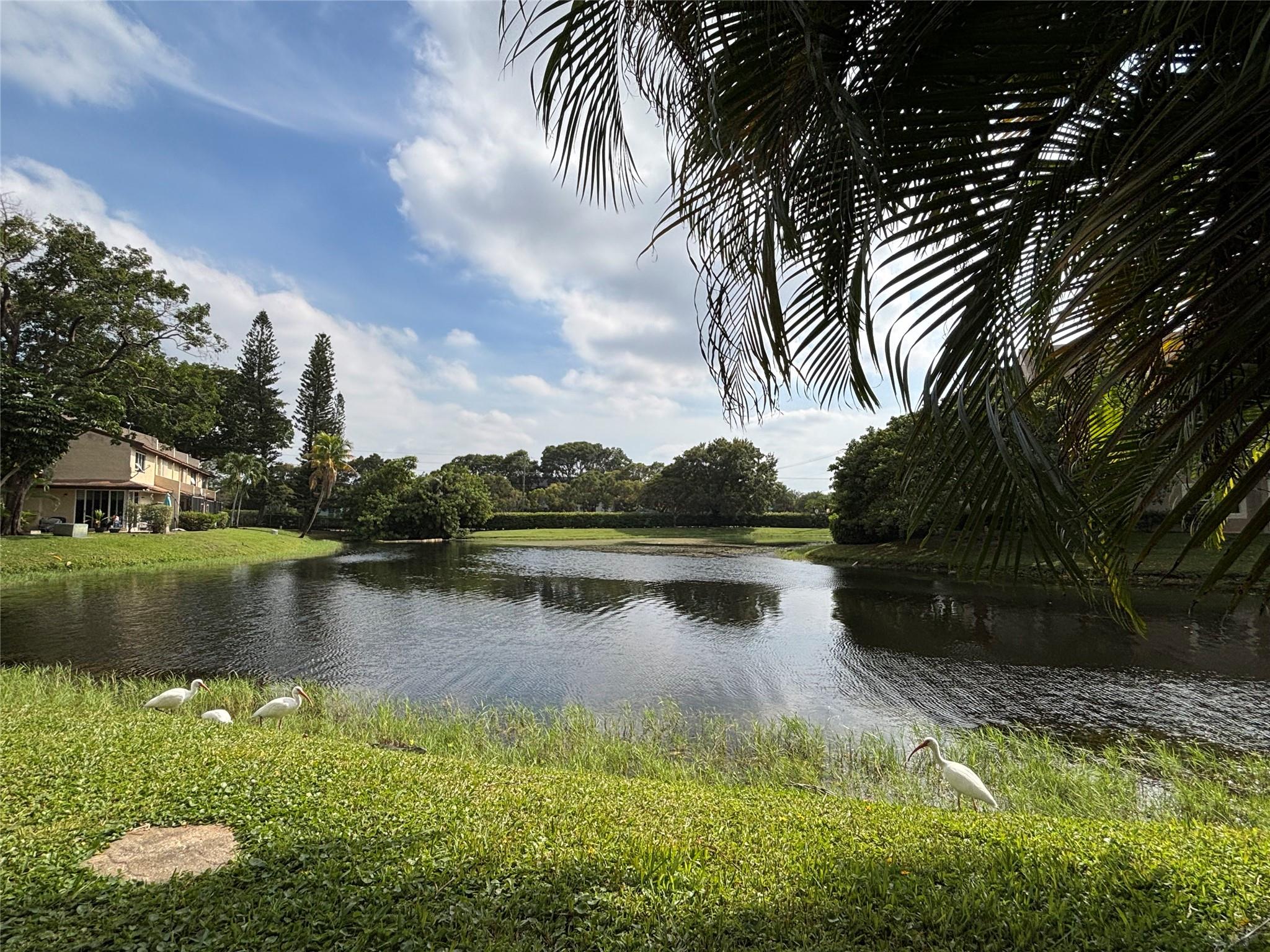 The Hamptons - Residential