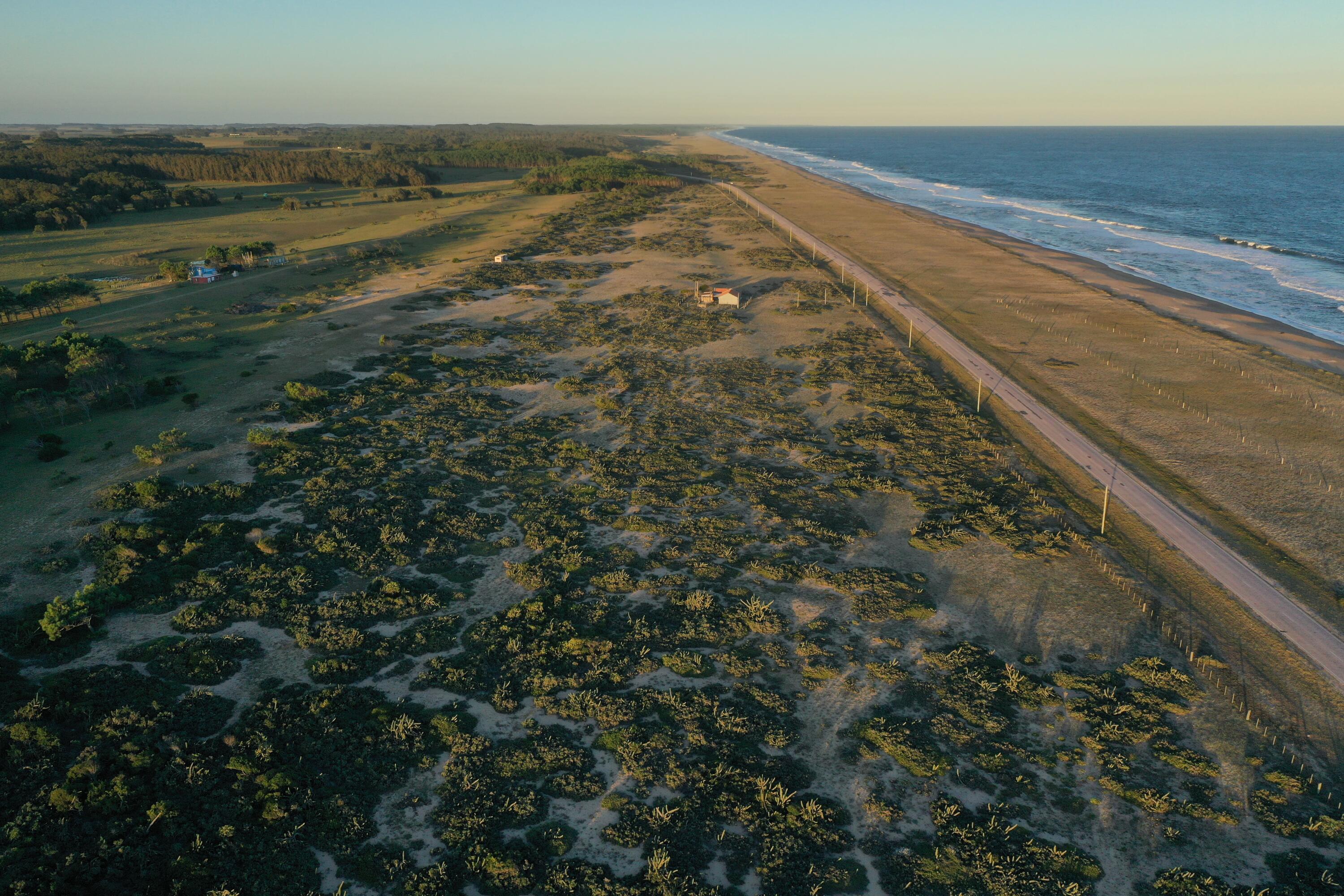 Rocha, Punta del Diablo, Uruguay. - Land