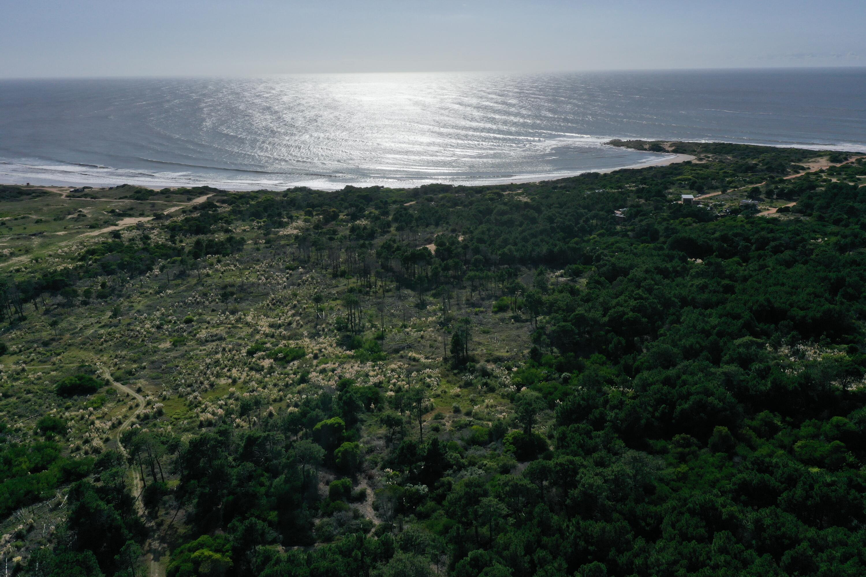 Rocha, Punta del Diablo, Uruguay. - Land