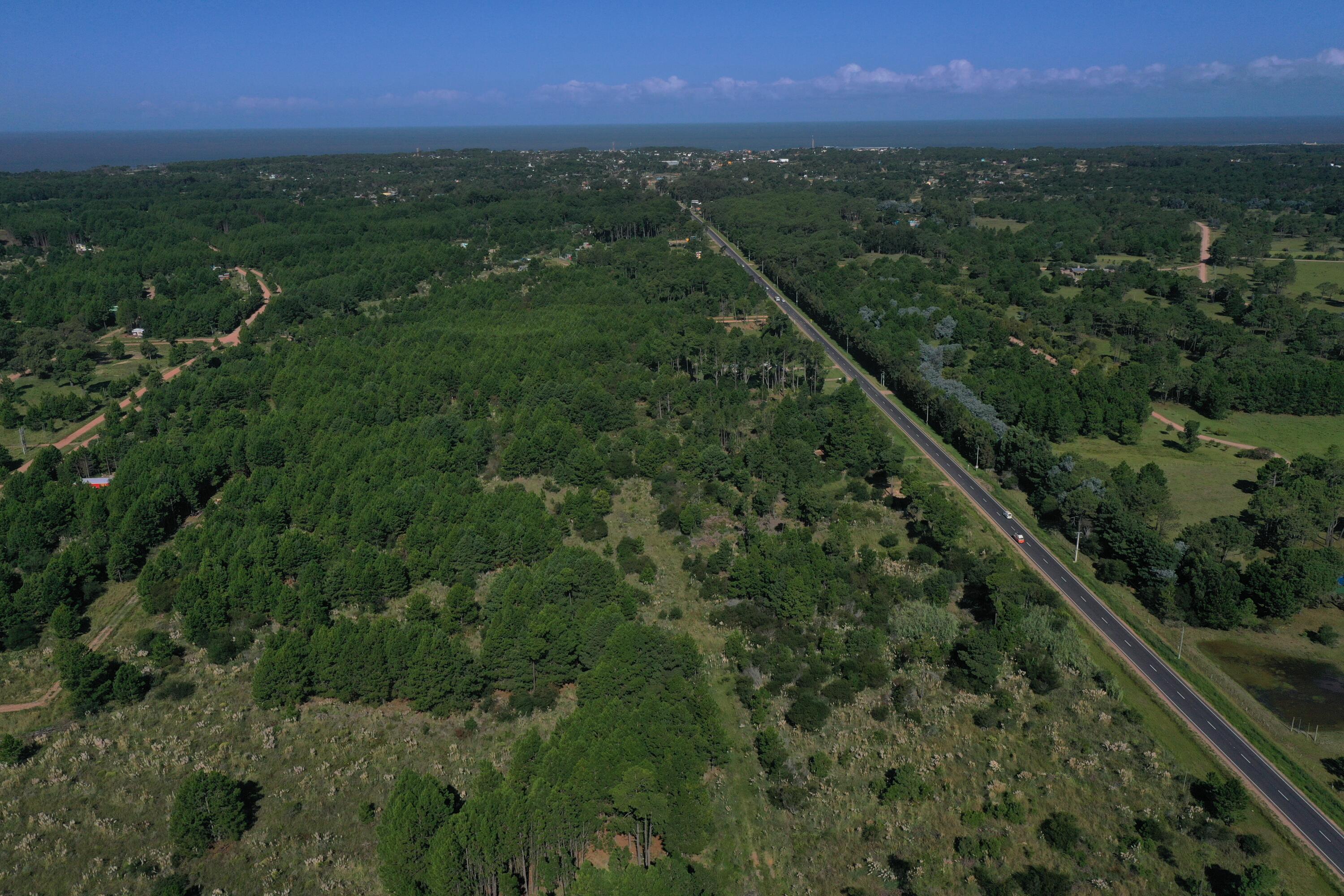 Rocha, Punta del Diablo, Uruguay. - Land