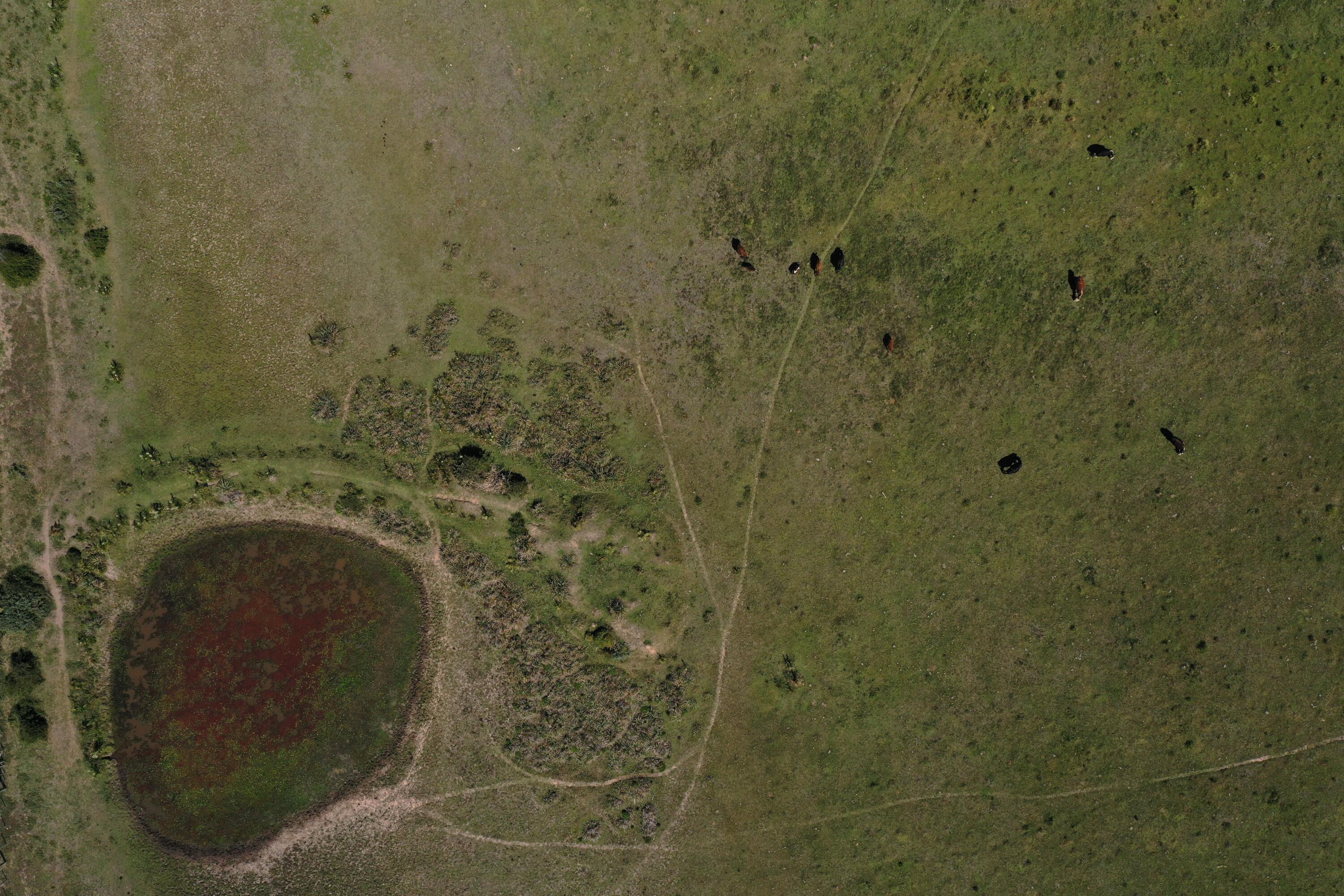 Rocha, Punta del Diablo, Uruguay. - Land