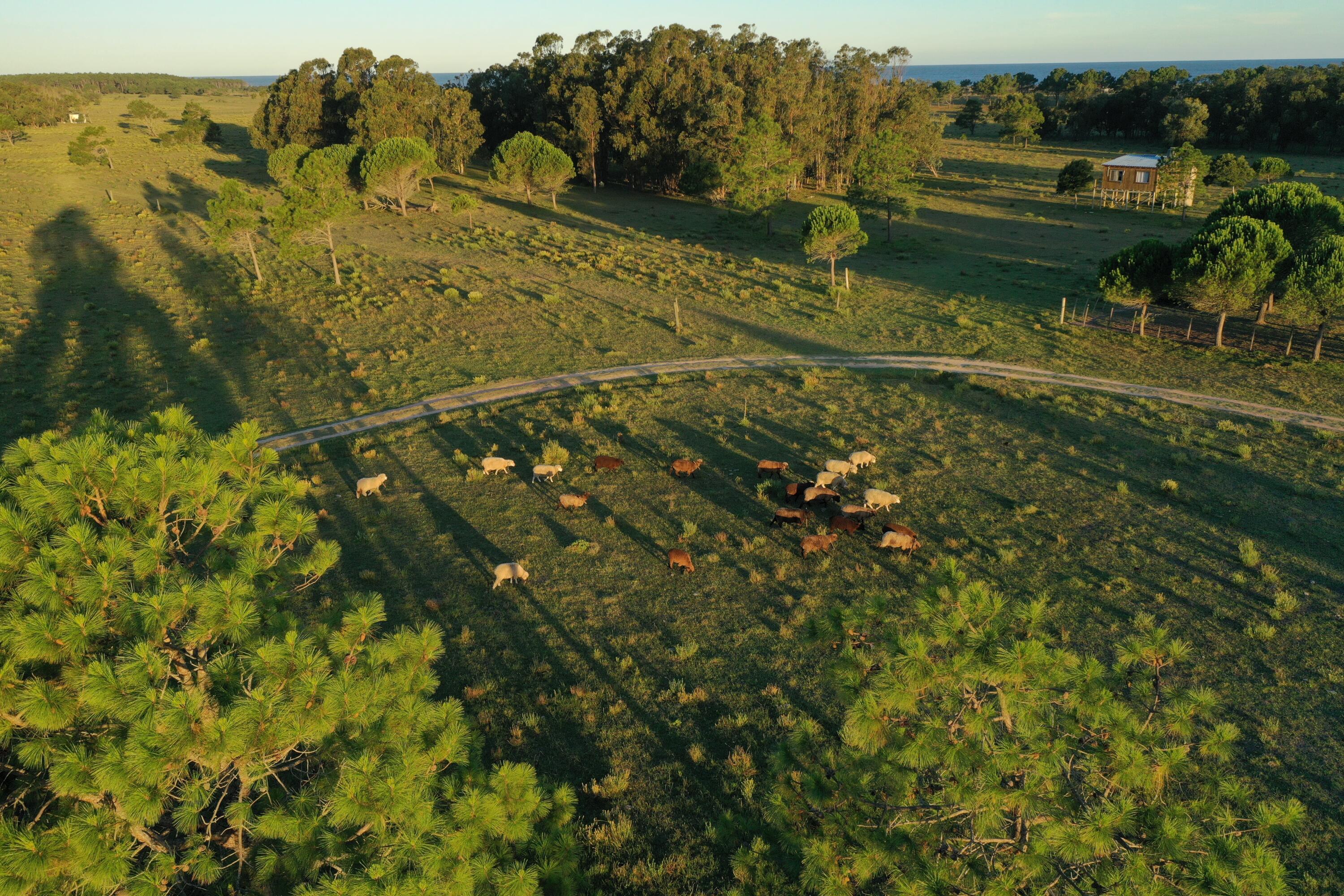 Rocha, Punta del Diablo, Uruguay. - Land