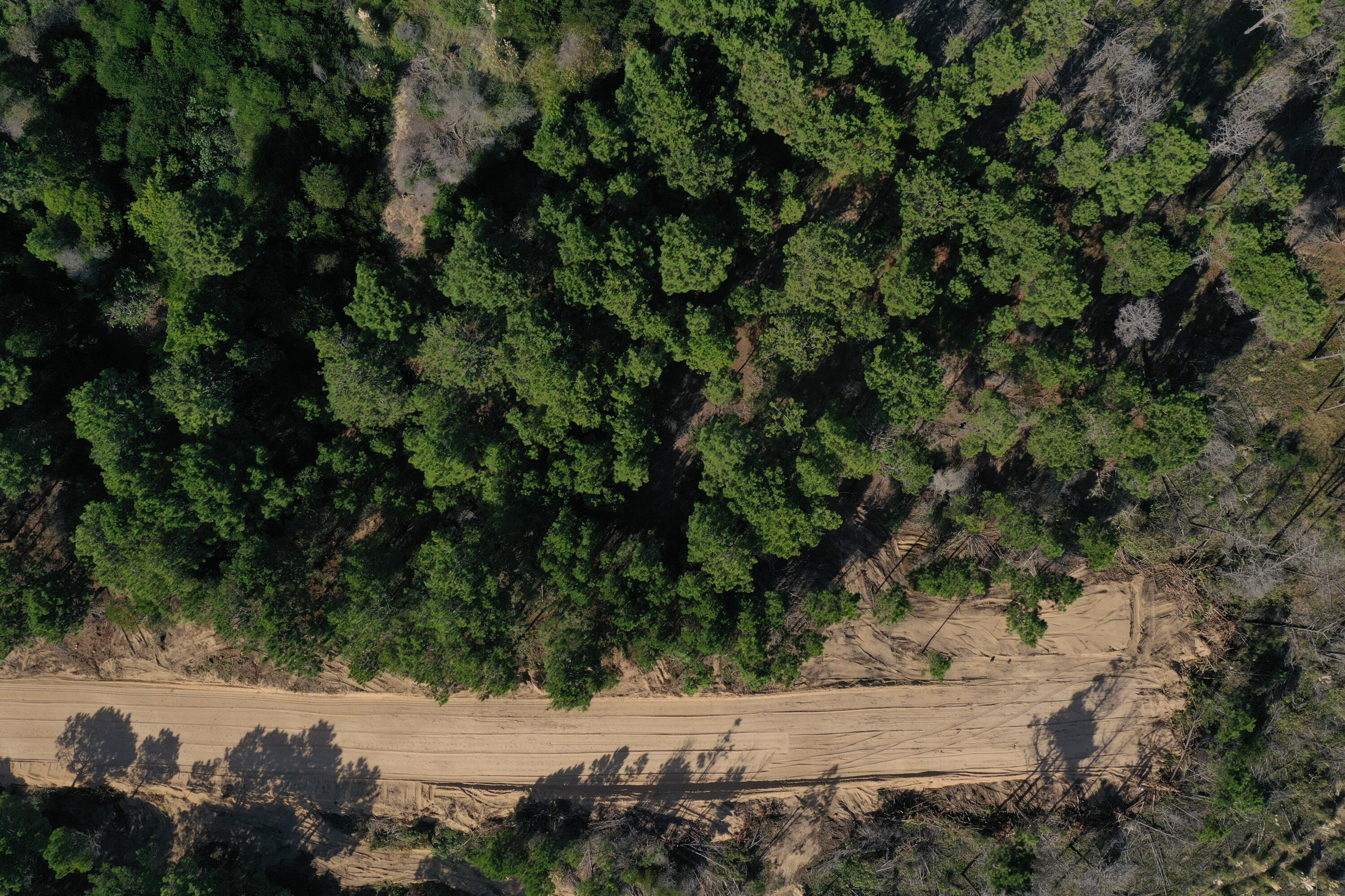 Rocha, Punta del Diablo, Uruguay. - Land