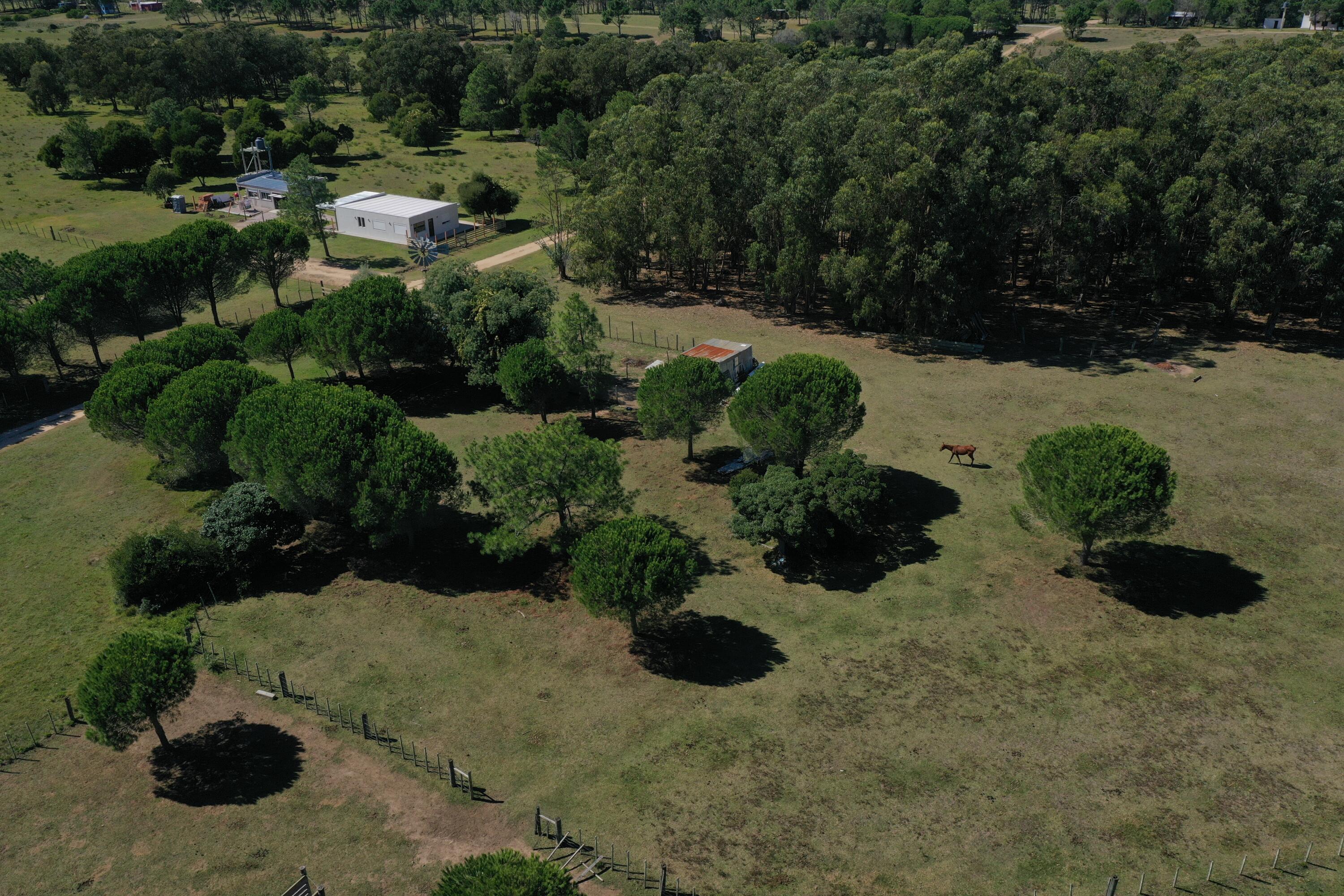 Rocha, Punta del Diablo, Uruguay. - Land