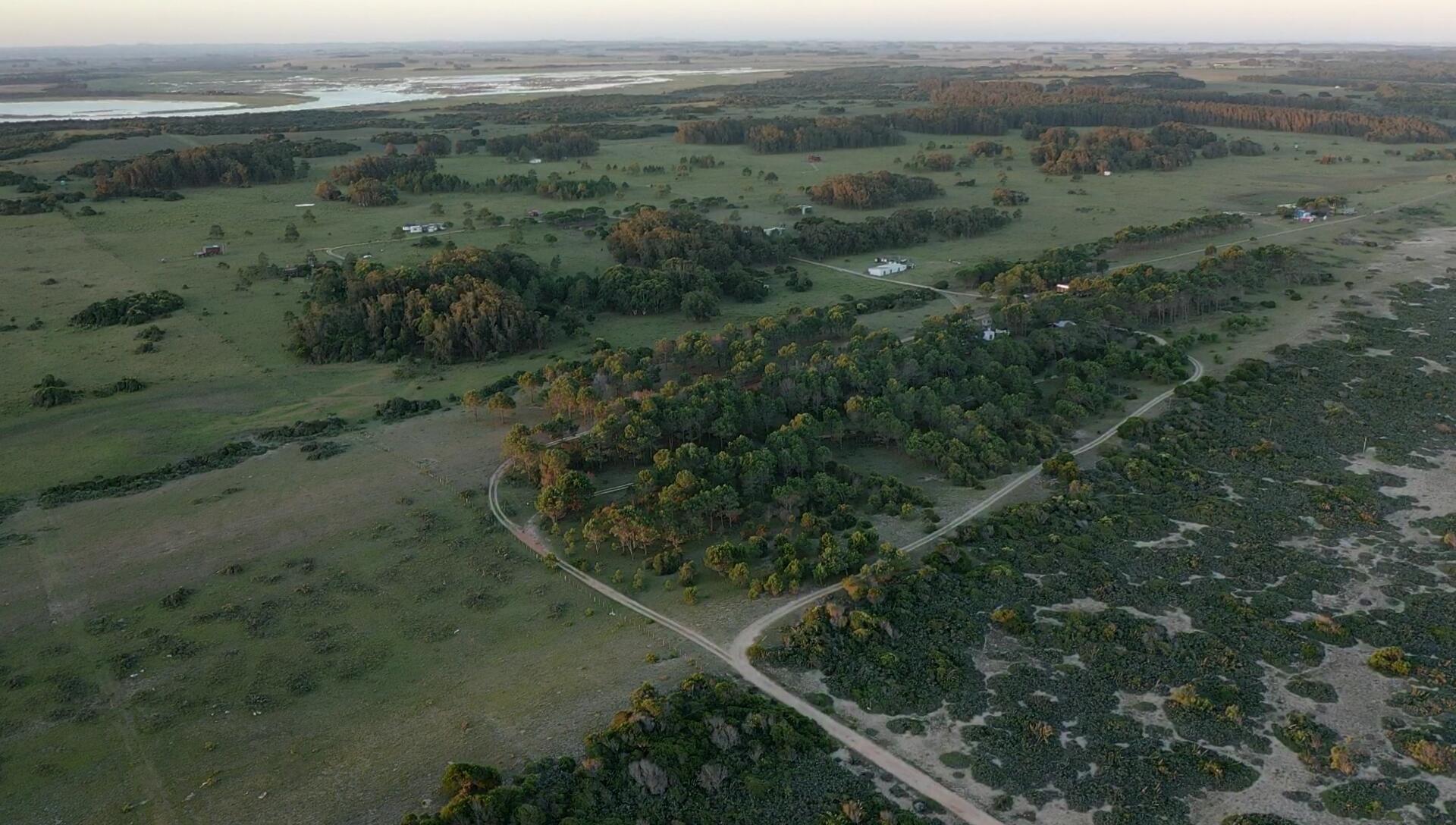 Rocha, Punta del Diablo, Uruguay. - Land