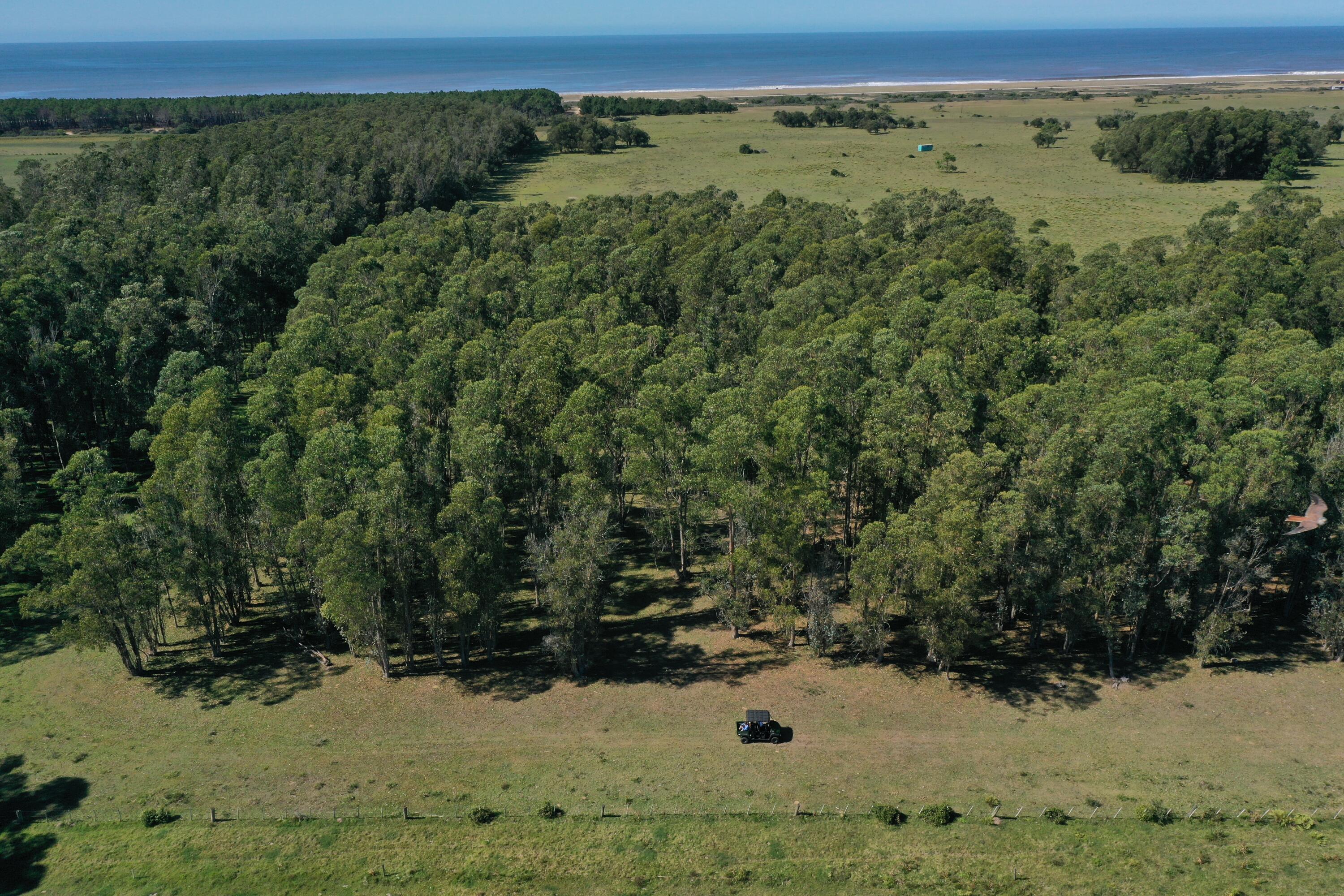 Rocha, Punta del Diablo, Uruguay. - Land