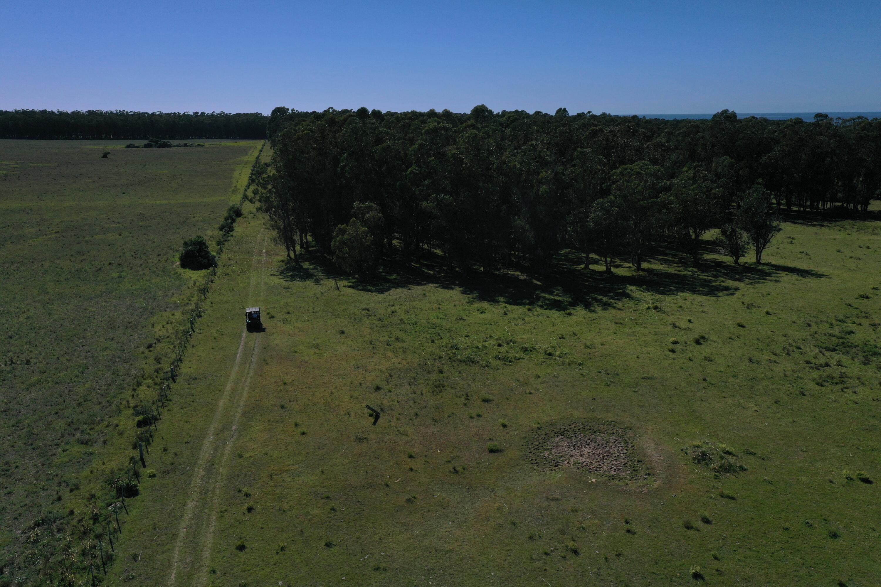 Rocha, Punta del Diablo, Uruguay. - Land