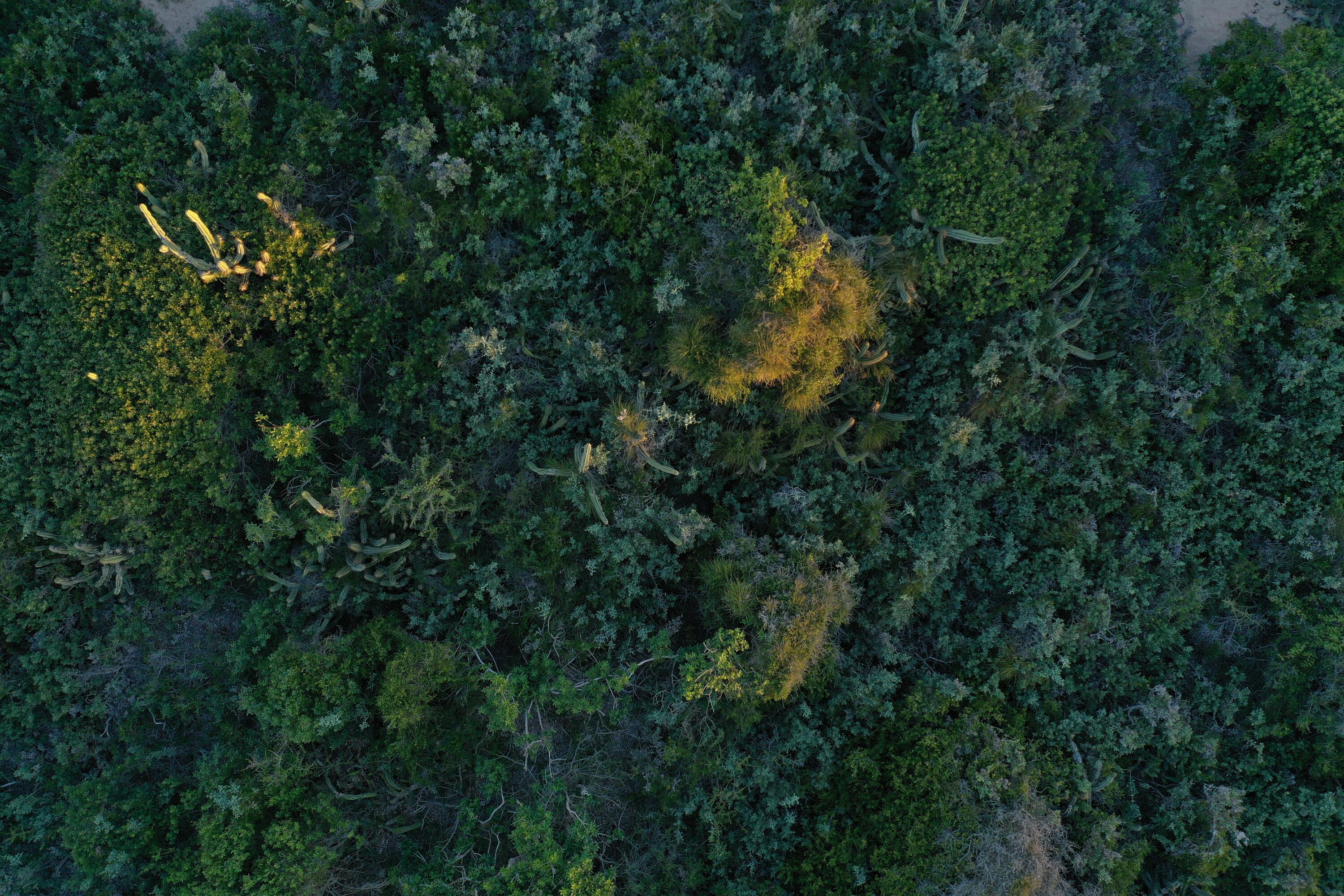 Rocha, Punta del Diablo, Uruguay. - Land