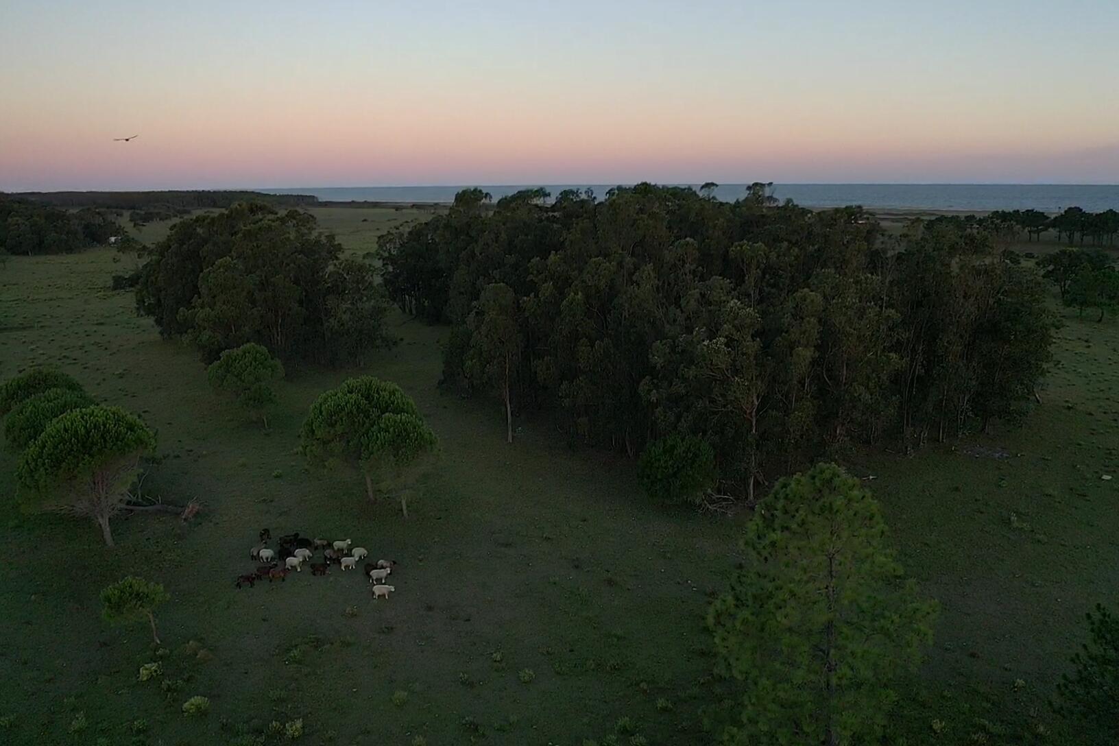Rocha, Punta del Diablo, Uruguay. - Land
