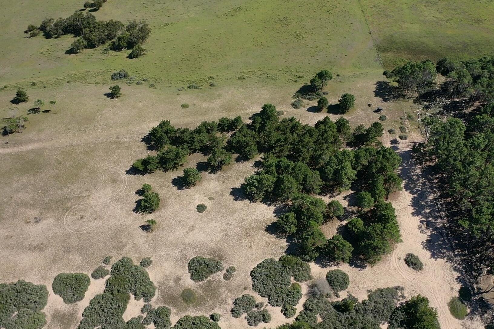 Rocha, Punta del Diablo, Uruguay. - Land