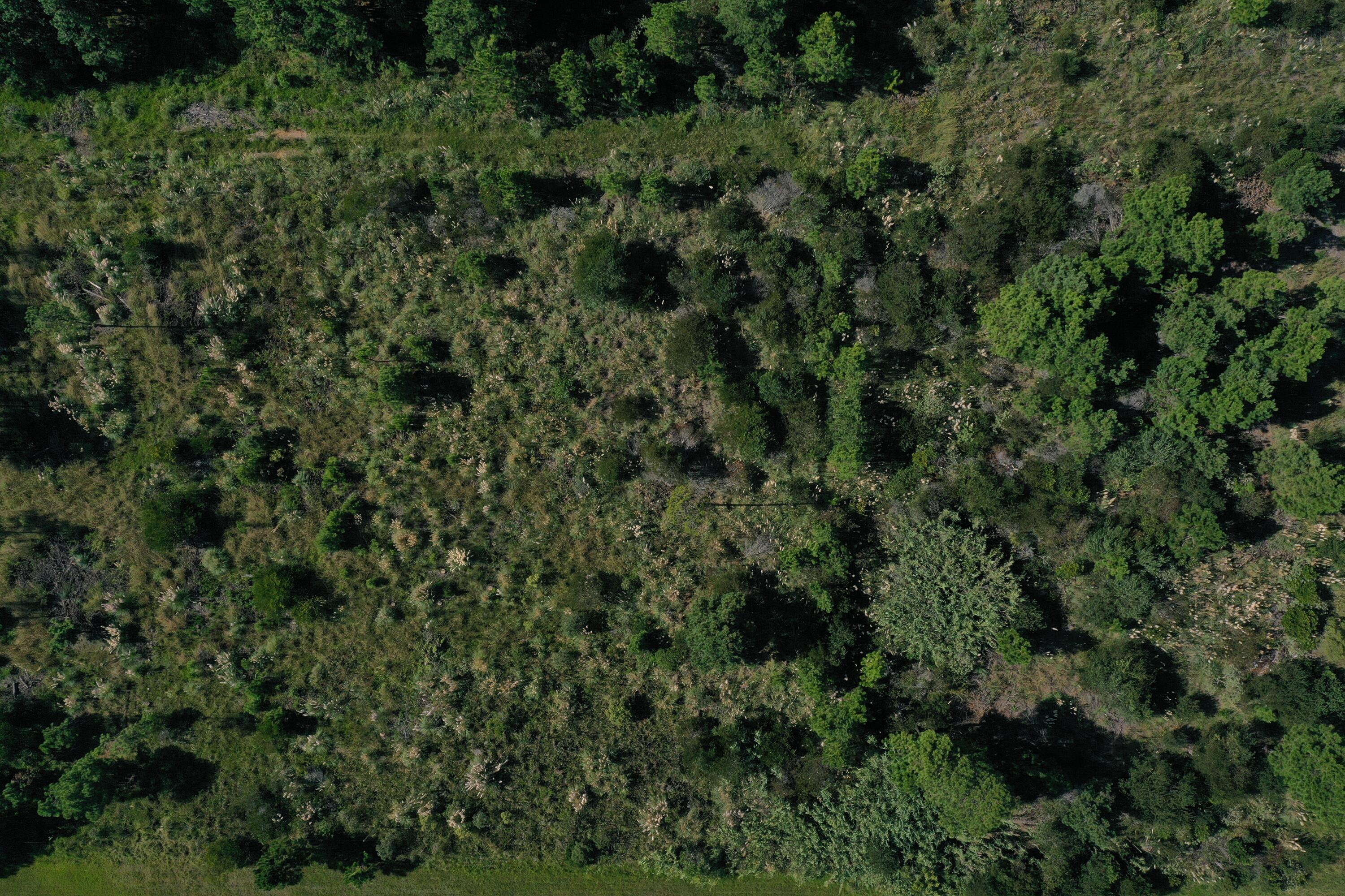 Rocha, Punta del Diablo, Uruguay. - Land