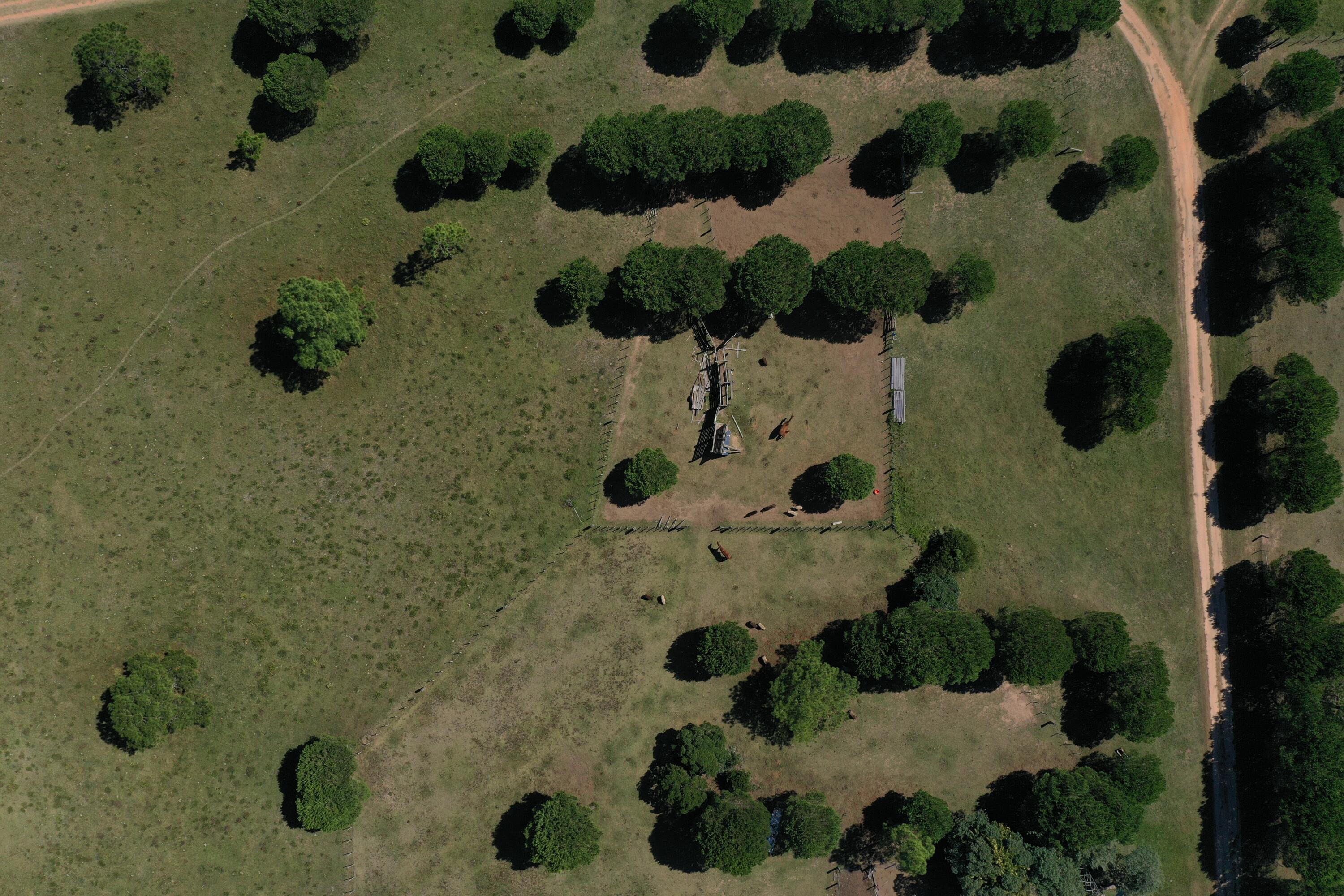 Rocha, Punta del Diablo, Uruguay. - Land