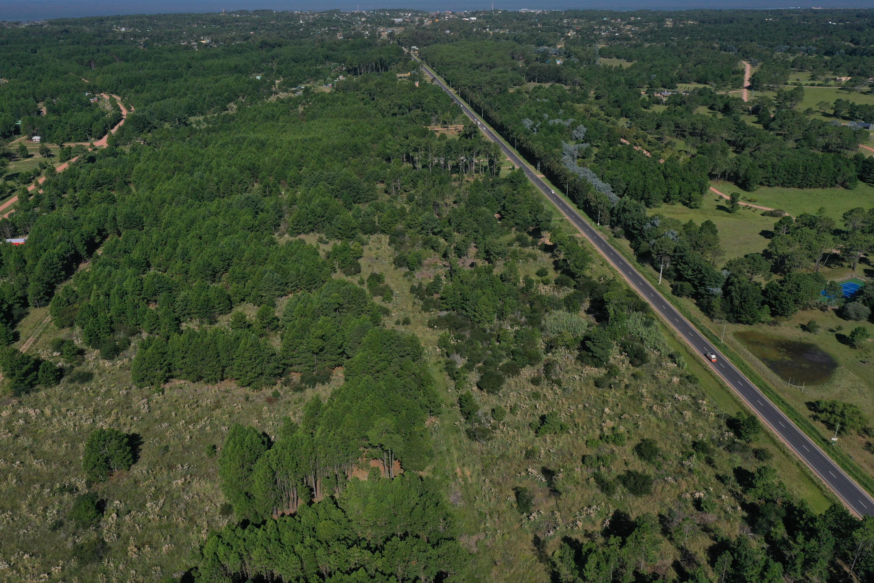 Rocha, Punta del Diablo, Uruguay. - Land