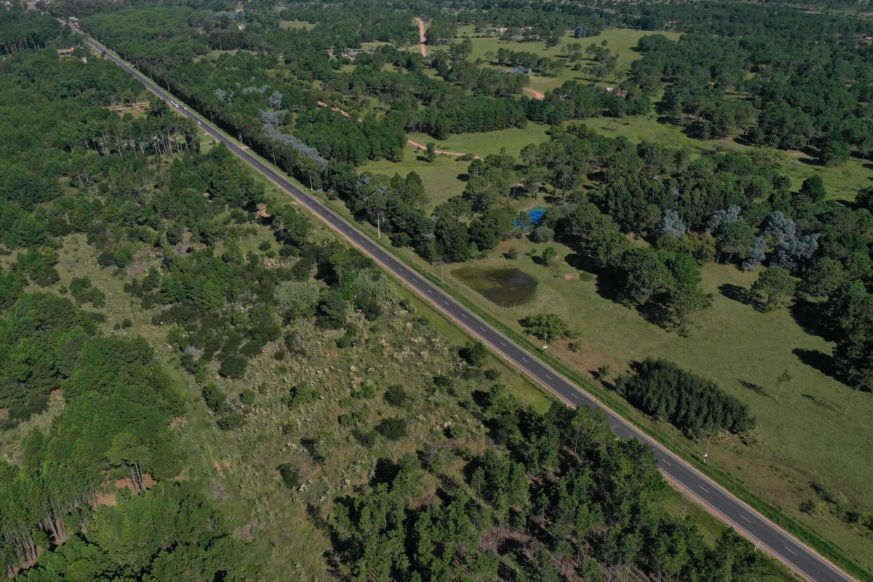 Rocha, Punta del Diablo, Uruguay. - Land
