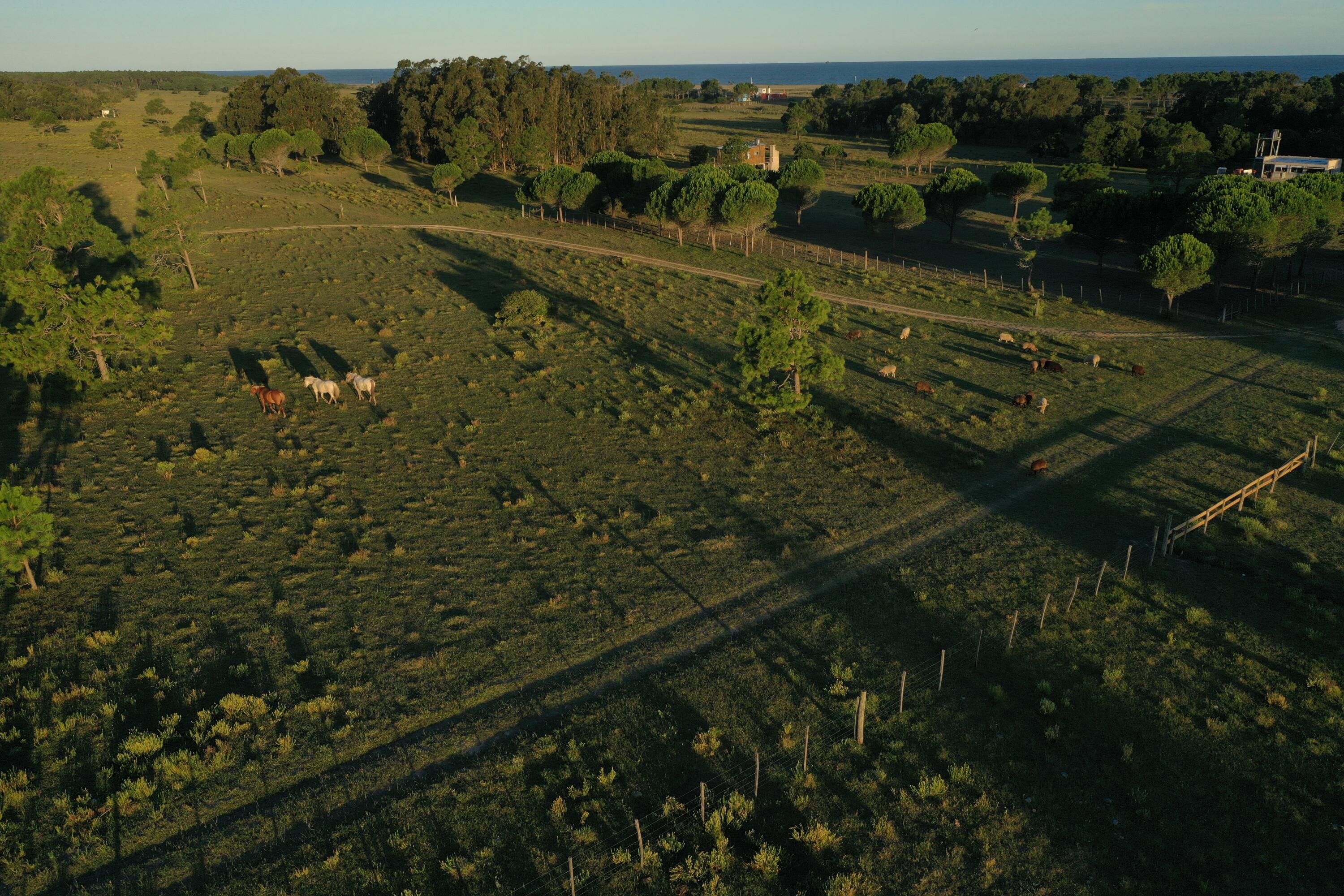 Rocha, Punta del Diablo, Uruguay. - Land