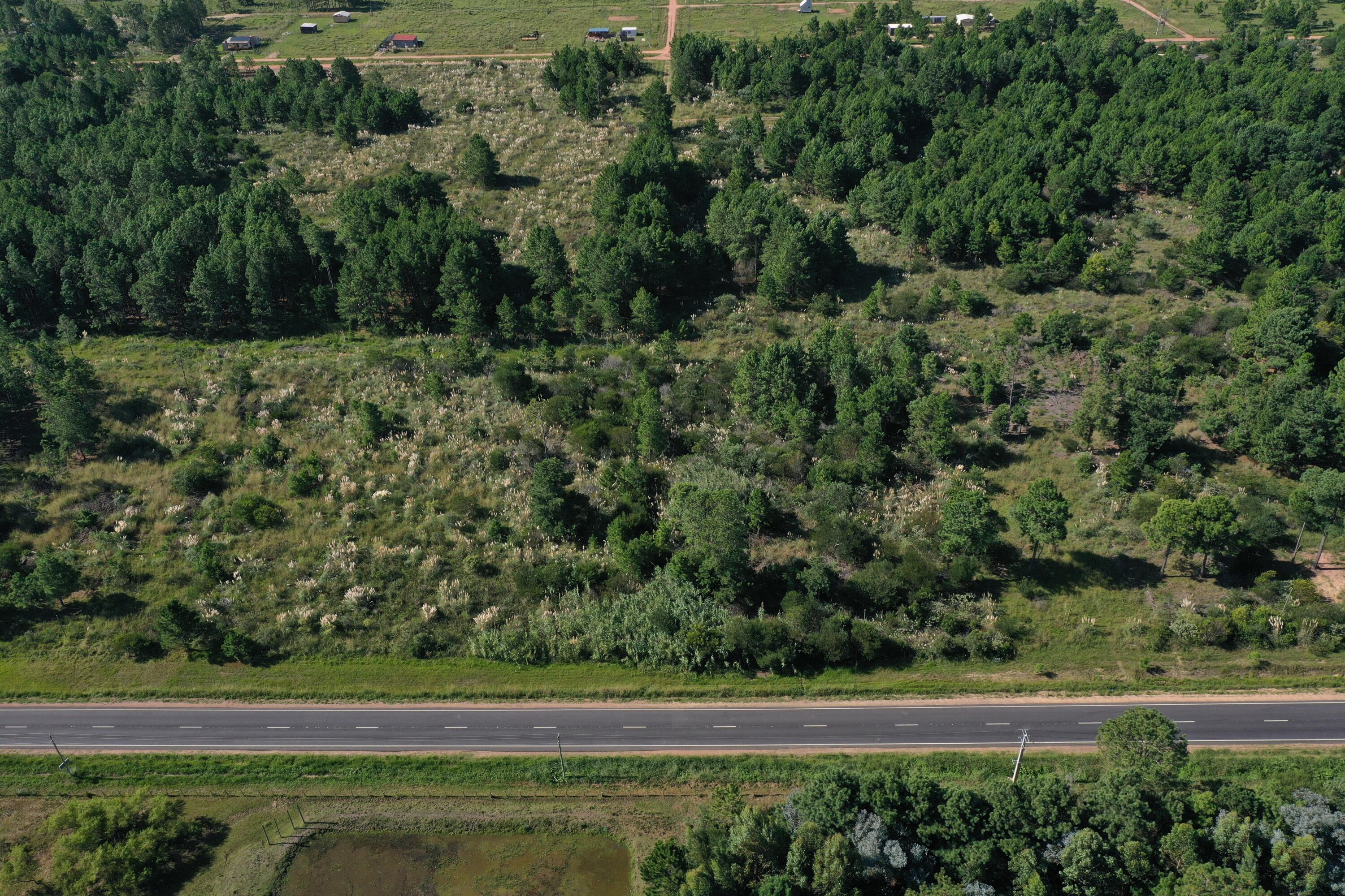 Rocha, Punta del Diablo, Uruguay. - Land