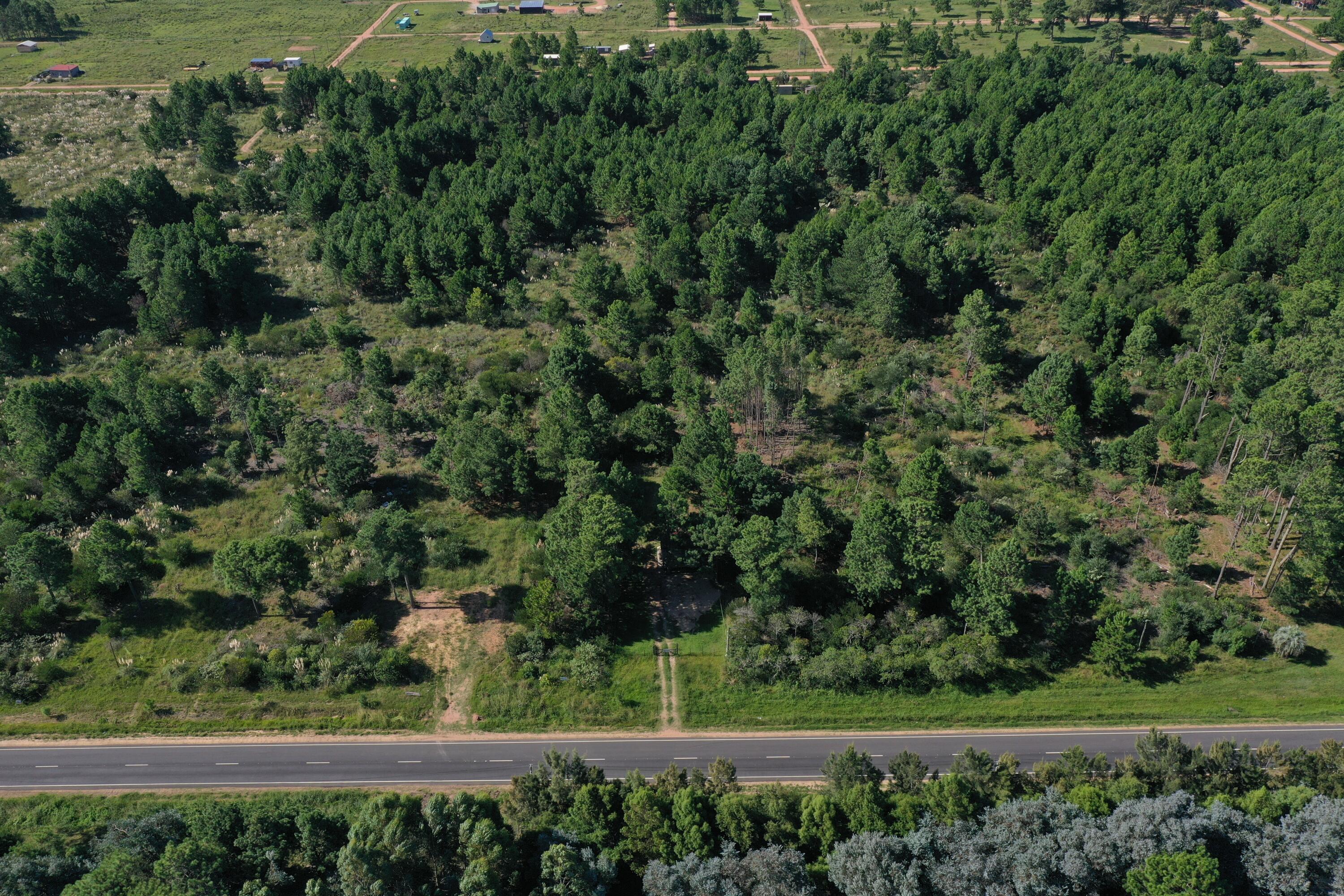 Rocha, Punta del Diablo, Uruguay. - Land