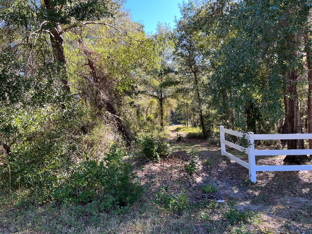 VERY NICE WOODED LOT TO BUILD YOUR DREAM HOME ON 1 Acre IN THE BEAUTIFUL COMMUNITY OF RAINBOW ACRES. IN AN AREA OF NEW HOMES. WITH A HOME ALEADY NEAR BY FOR EASY ACCESS TO POWER, BUT STILL VERY PRIVATE CONVENIENT TO DOWNTOWN DUNNELLON WHERE YOU WILL FIND RESTAURANTS, SHOPPING AND ANTIQUE SHOPS, OCALA, GAINESVILLE, CRYSTAL RIVER, GULF OF MEXICO AND THE BEAUTIFUL. Rainbow Springs State Park is just a short drive away where you can enjoy nature walks among the mature azaleas, bird watching, kayaking and swimming at the head of this pristine first magnitude spring. Whether you're looking to build your dream home or purchase as a future investment this property checks all the boxes. owner financing available.
