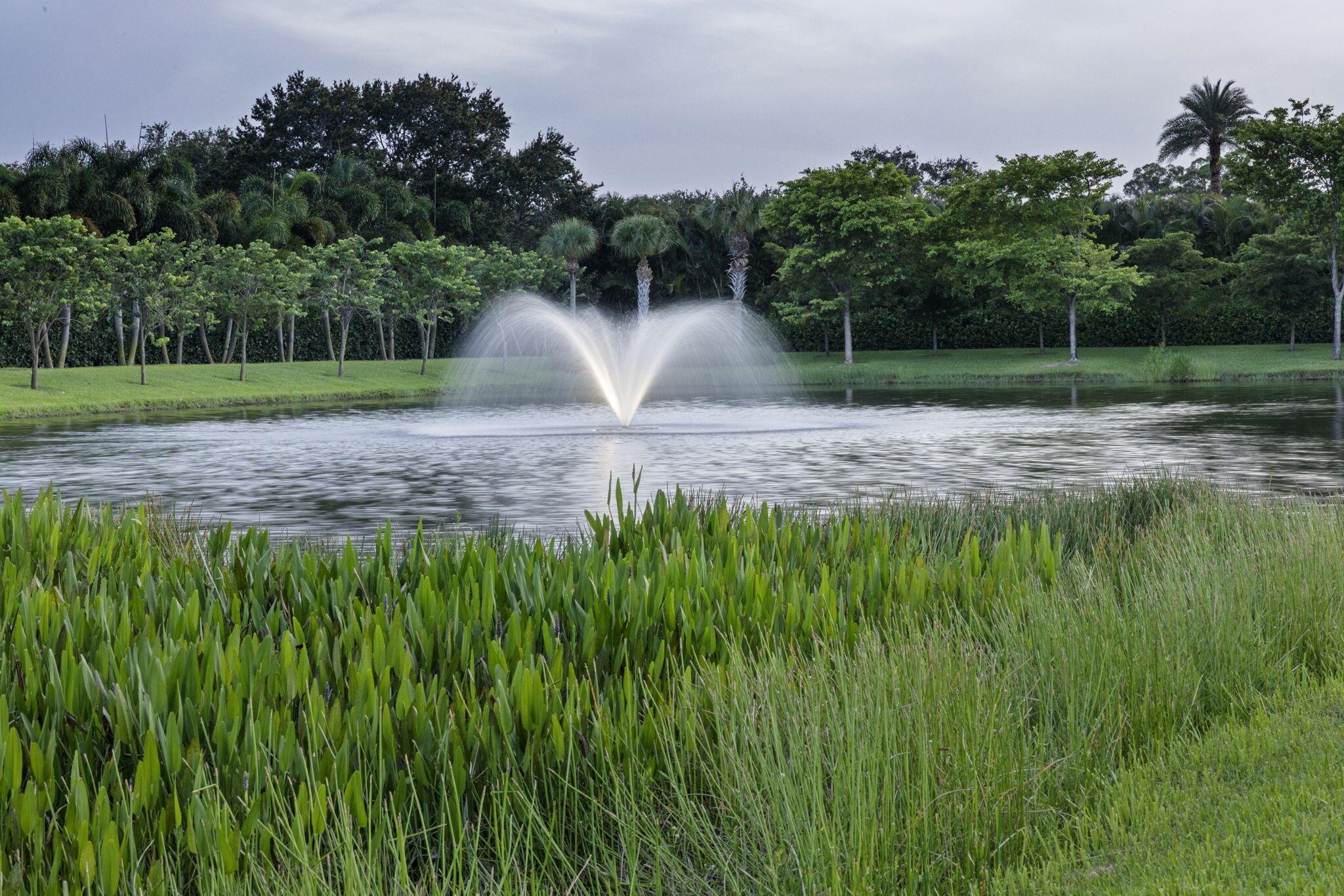 PALM BEACH POINT - Residential