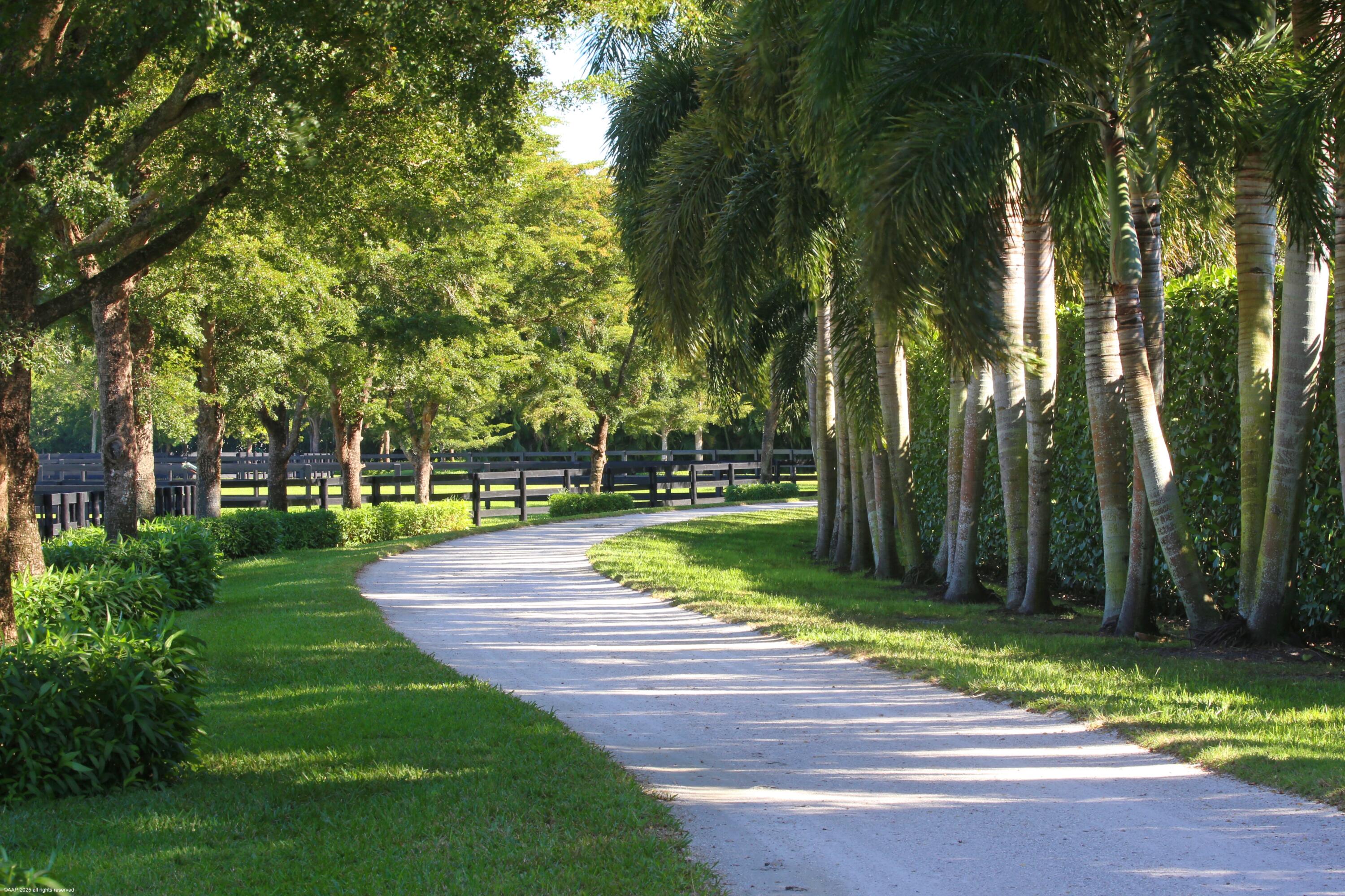 PALM BEACH POINT - Residential