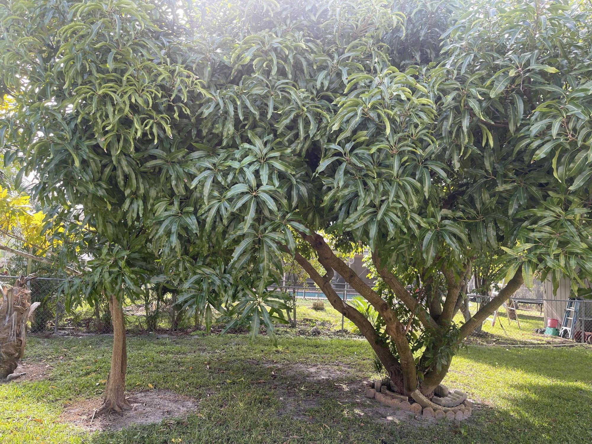 PORT ST LUCIE SECTION 16 - Residential Lease
