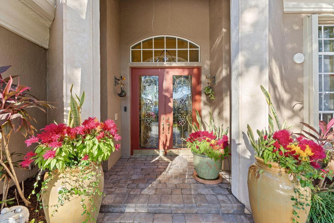 Palm Cove - Residential