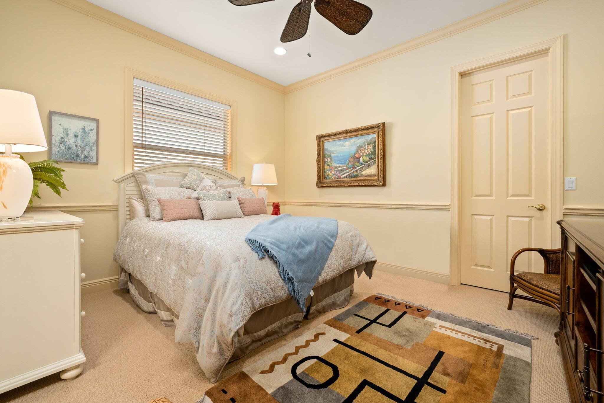 Palm Cove - Residential