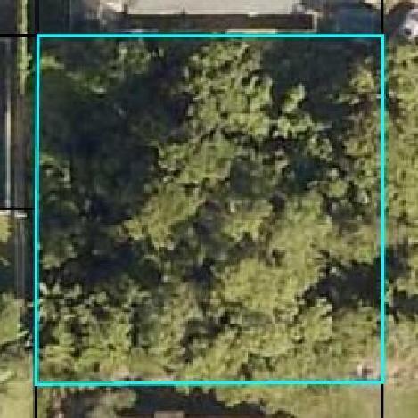 Wooded lot ready for your new home. Great investment. Can be subdivided