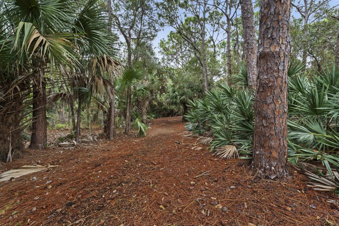 SHORES 2 - Residential