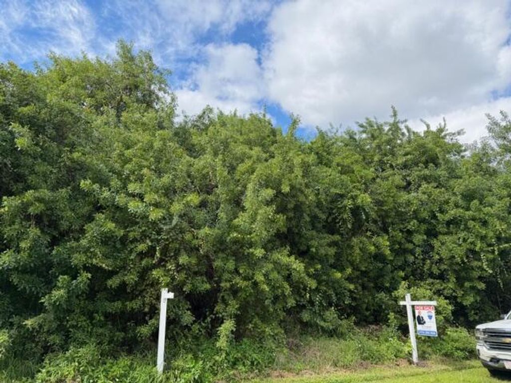 Photo of 3874 SW Kasin Street, Port Saint Lucie, FL 34953 (MLS # R11137810)