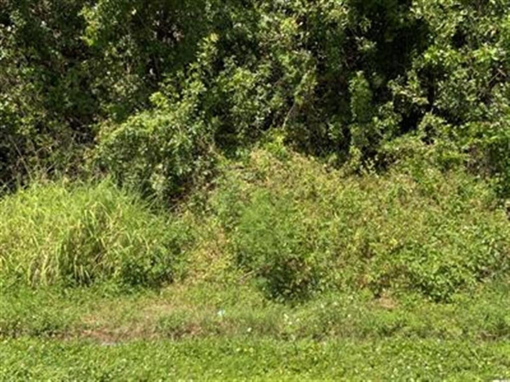 DARWIN/TULIP AREA - Land