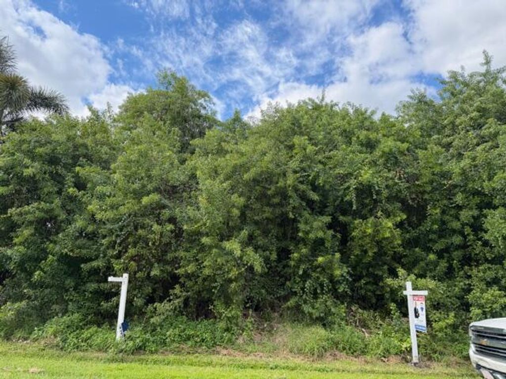 Photo of 3874 SW Kasin Street, Port Saint Lucie, FL 34953 (MLS # R11137810)