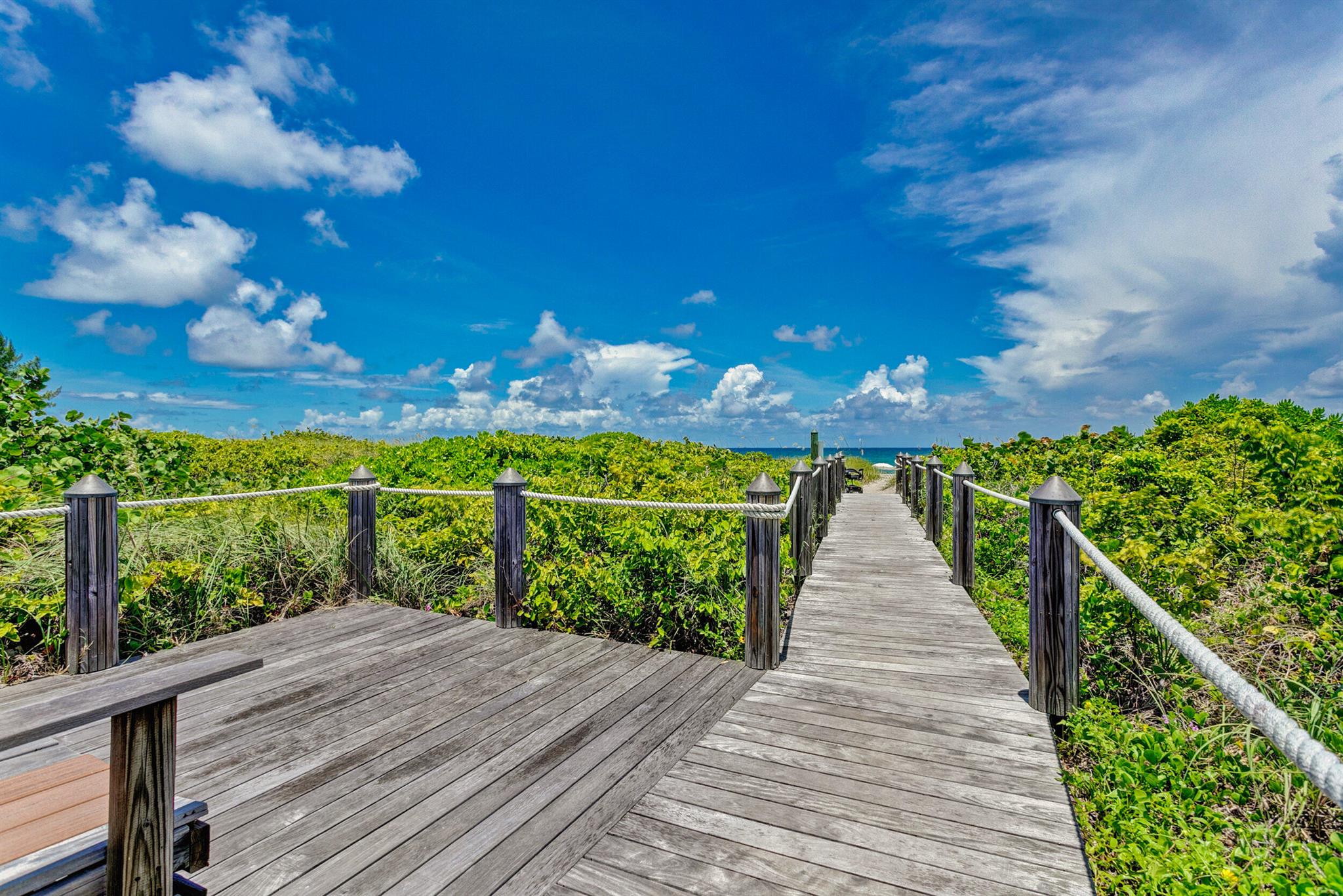 MAYAN TOWERS CONDO II - Residential Lease