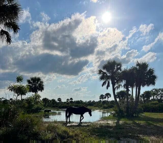 CABBAGE WOODS RANCHES - Land