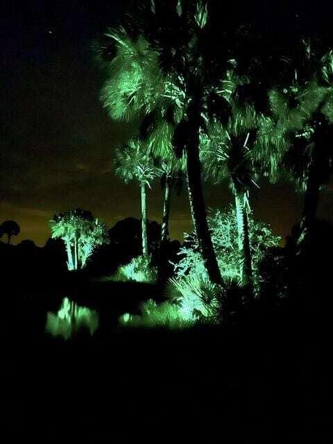 CABBAGE WOODS RANCHES - Land