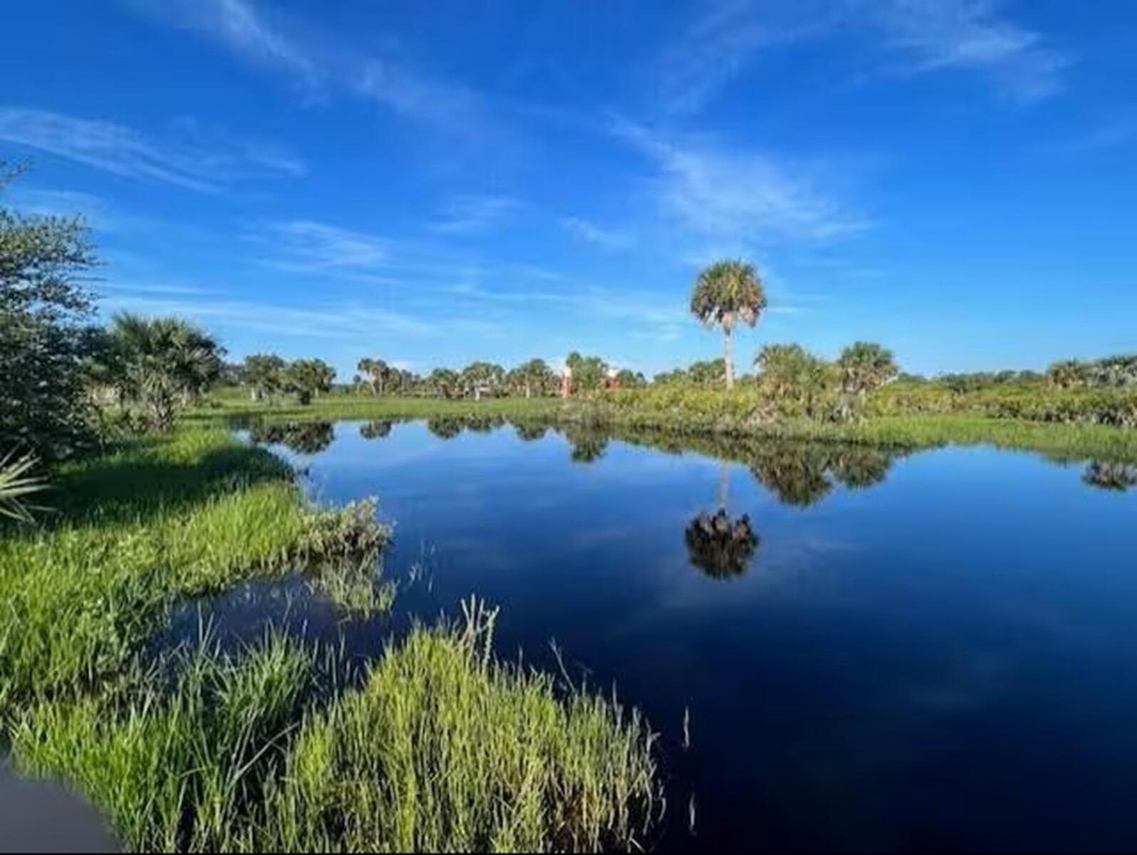 CABBAGE WOODS RANCHES - Land