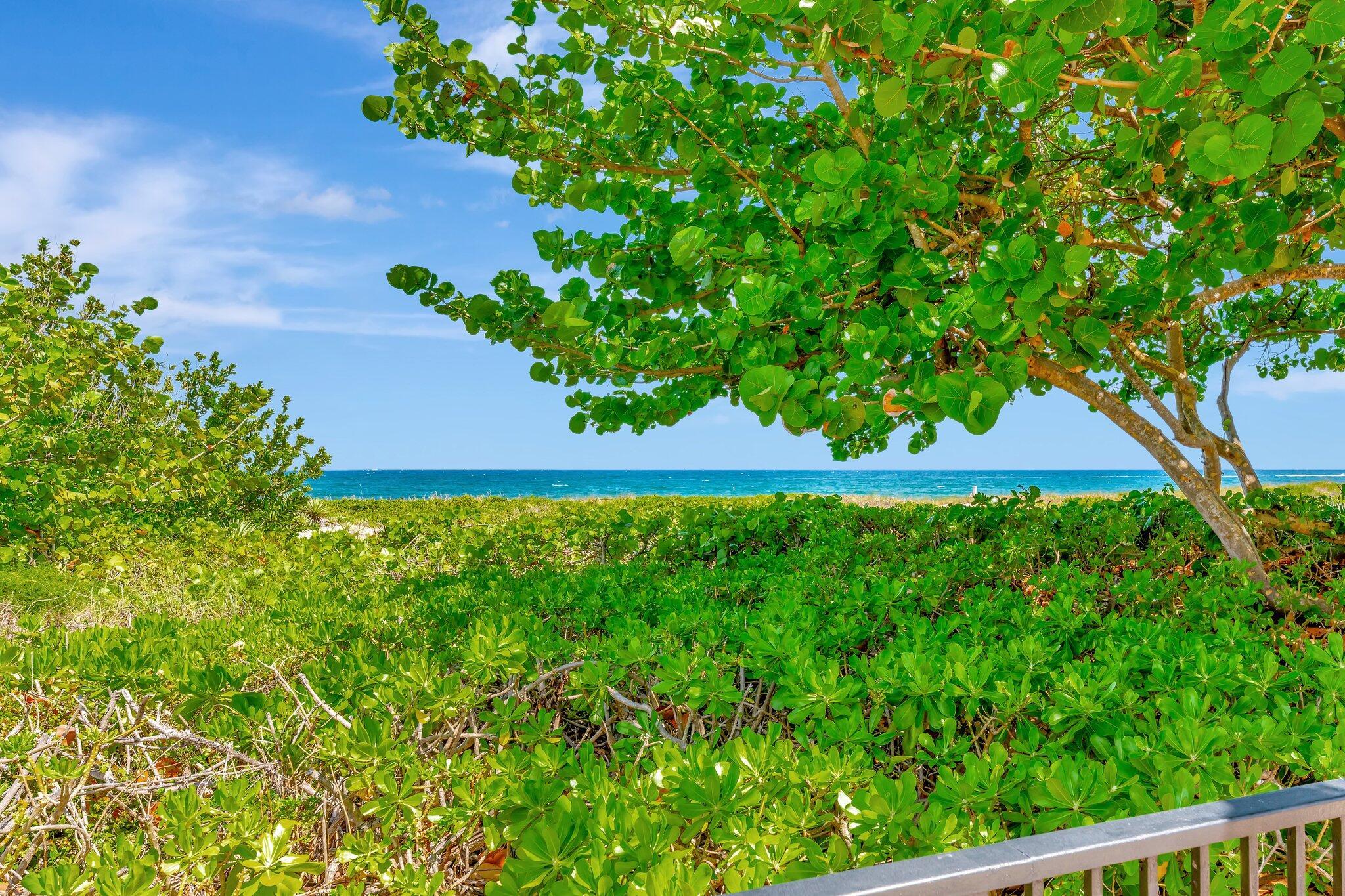 OCEAN PLACE CONDO - Residential Lease