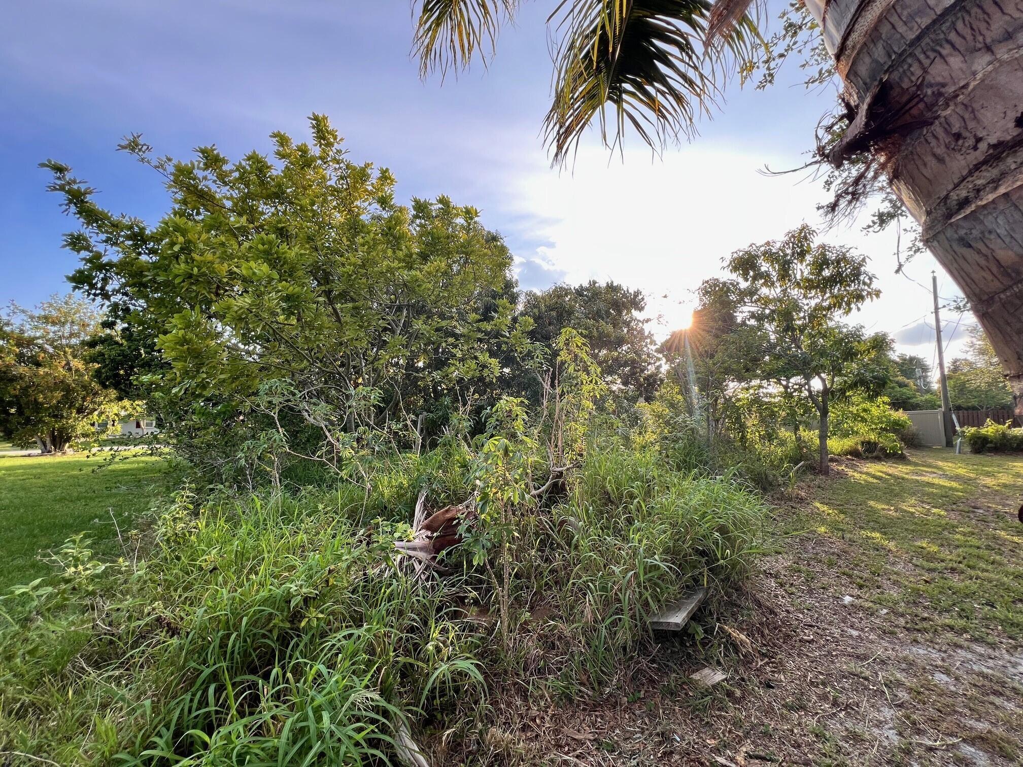 PORT ST LUCIE SECTION THI - Land
