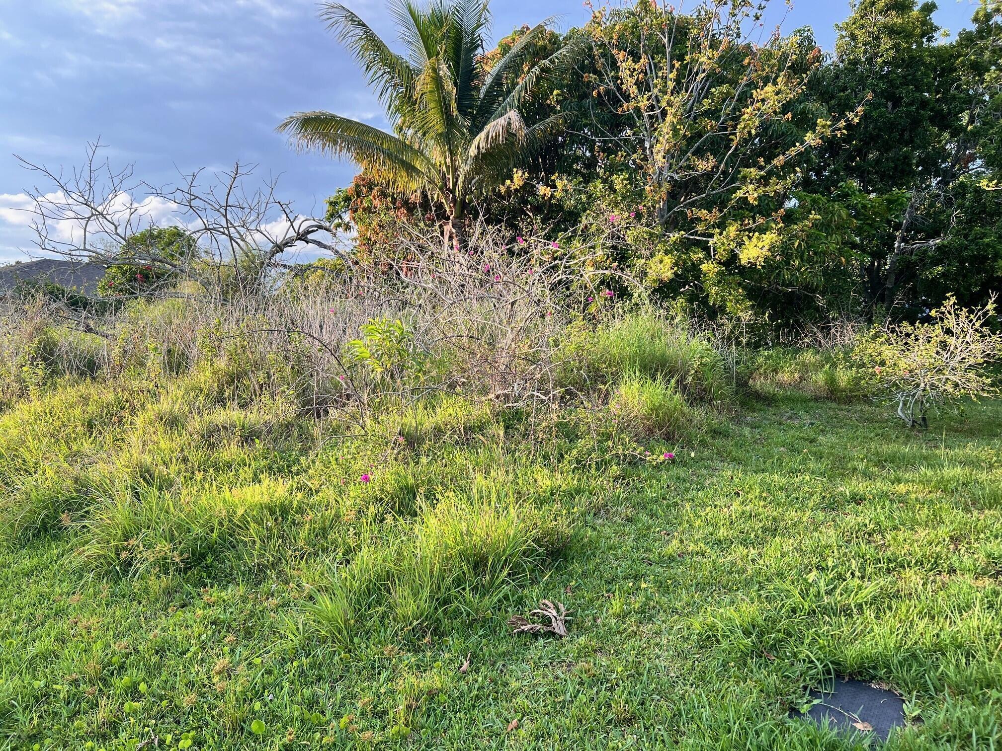 PORT ST LUCIE SECTION THI - Land