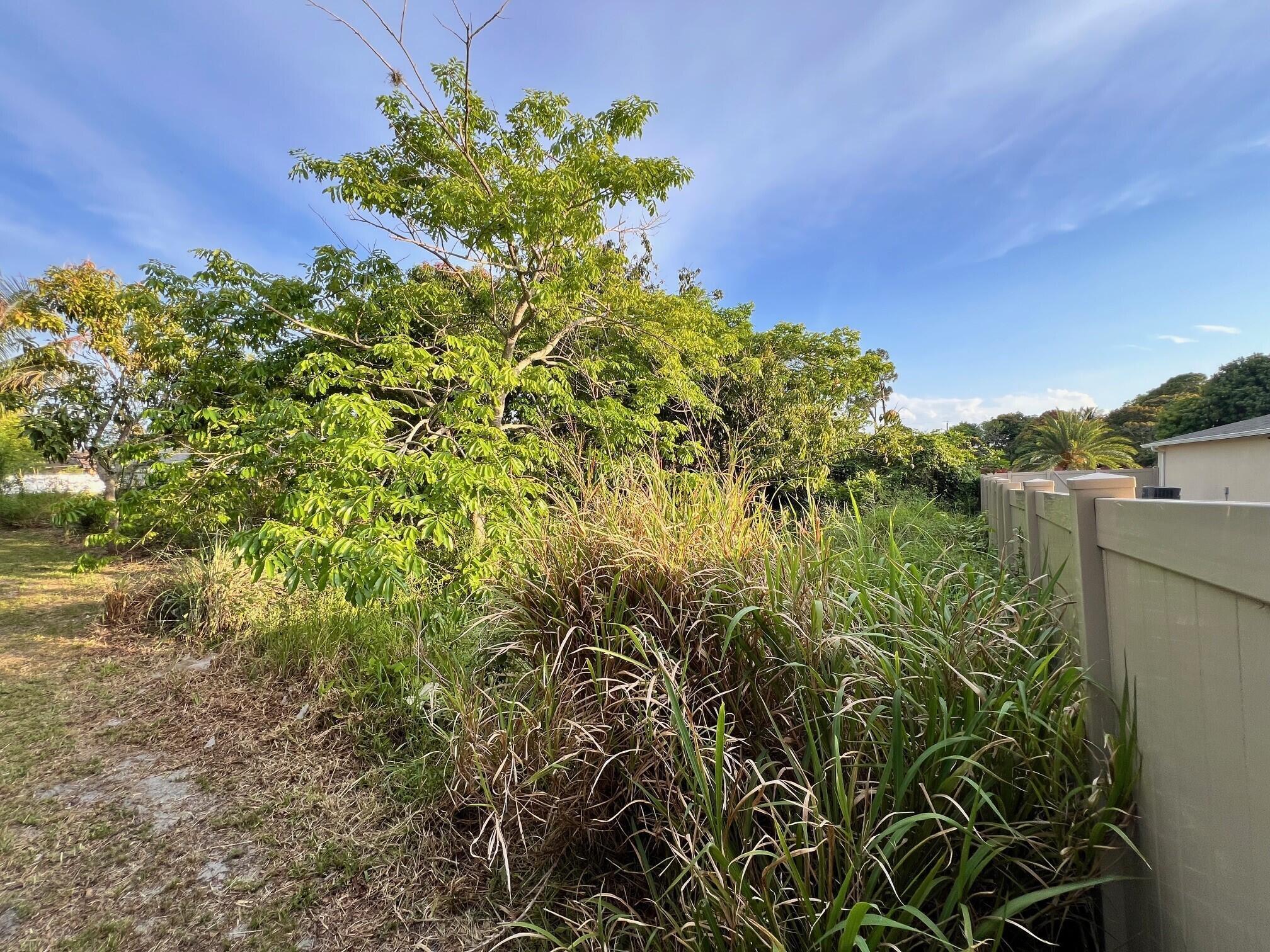 PORT ST LUCIE SECTION THI - Land