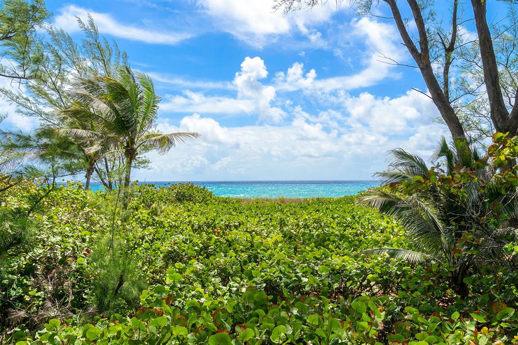 GEDNEY VS PIERSON - Residential