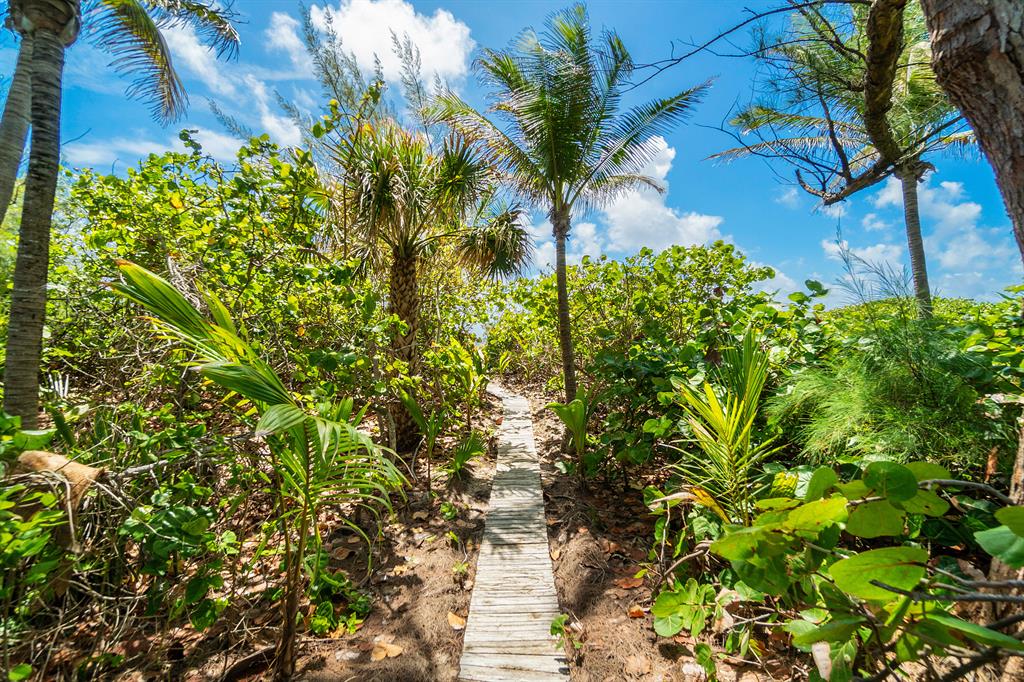 GEDNEY VS PIERSON - Residential