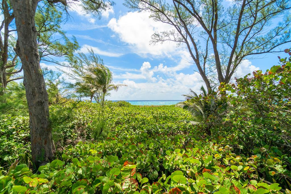 GEDNEY VS PIERSON - Residential