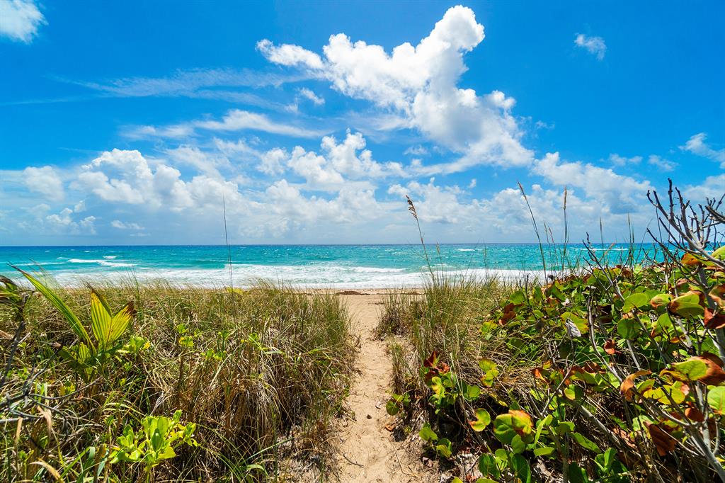 GEDNEY VS PIERSON - Residential