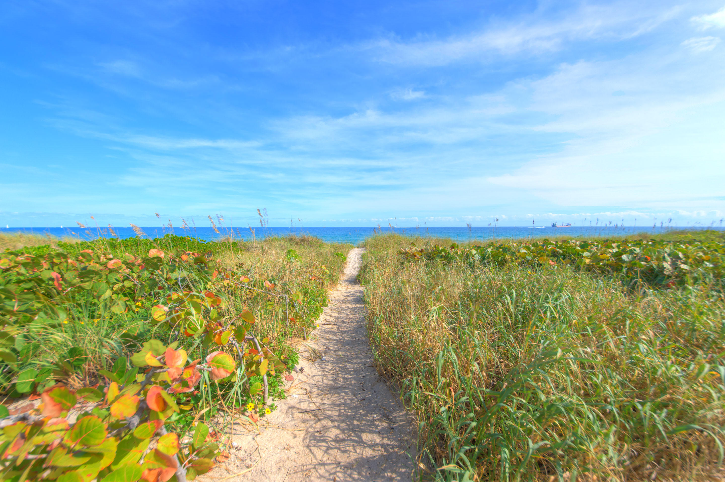 OCEAN TERRACE - Residential
