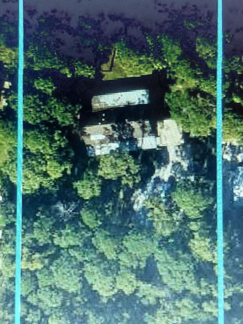 Photo of 11615 Sunset Boulevard, The Acreage, FL 33411 (MLS # B26009478)