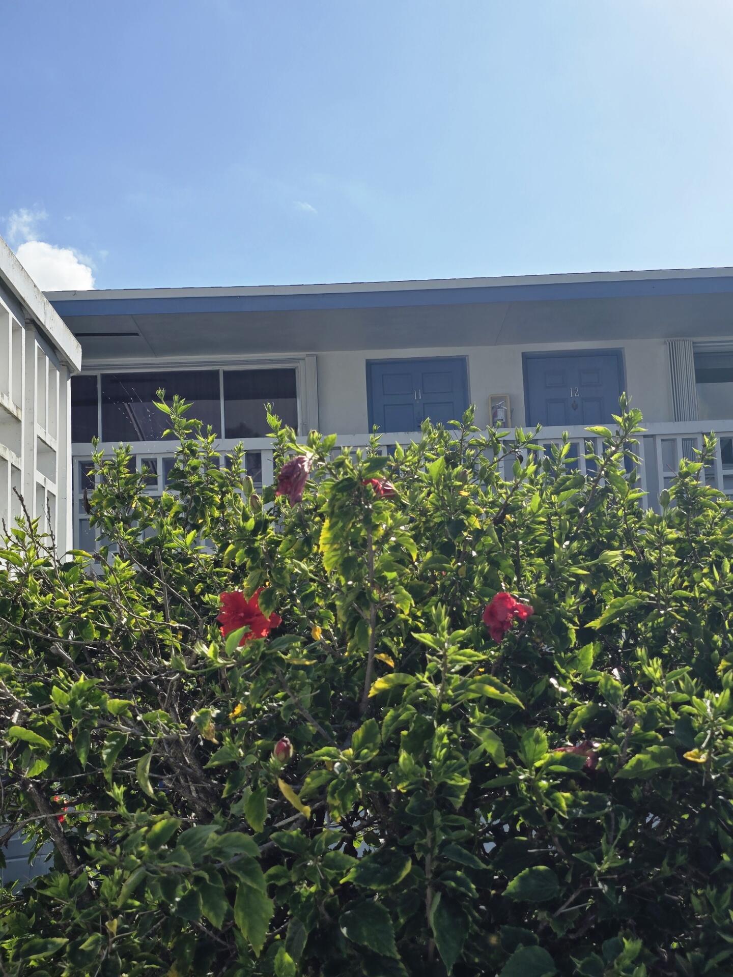 LAKESIDE POINT APT 1 CONDO - Residential