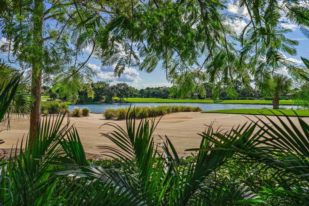 OLD PALM 4 - Residential